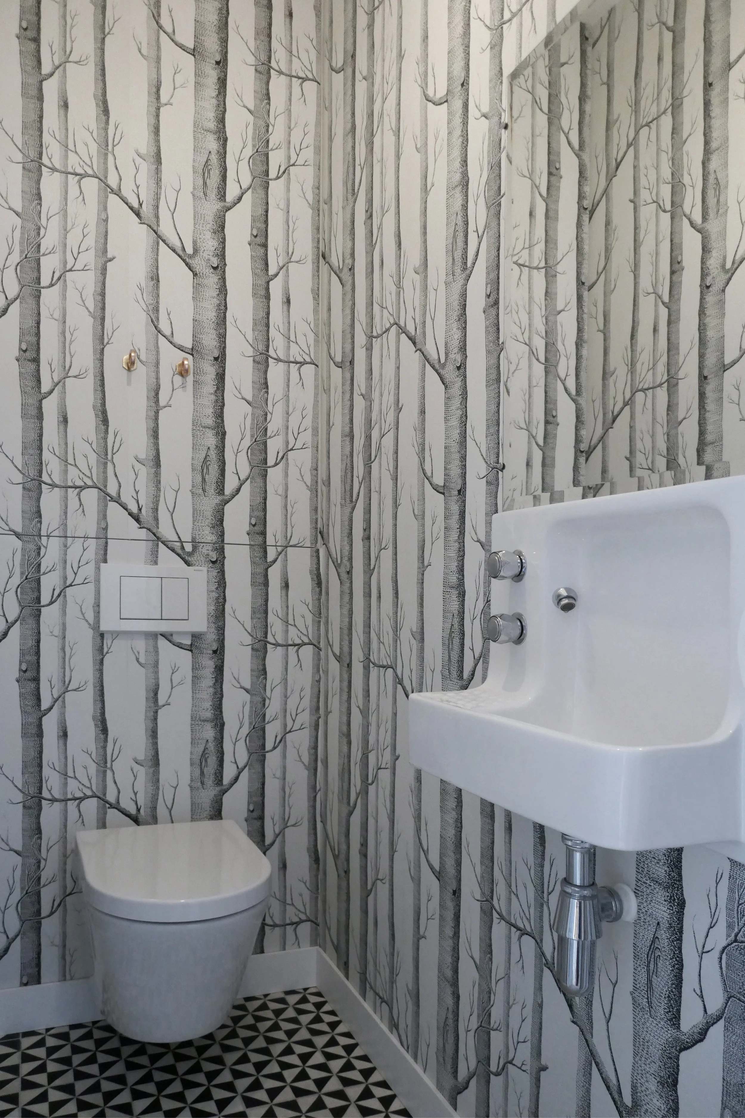 11.Hermiston Avenue_Pamphilon Architects.jpg