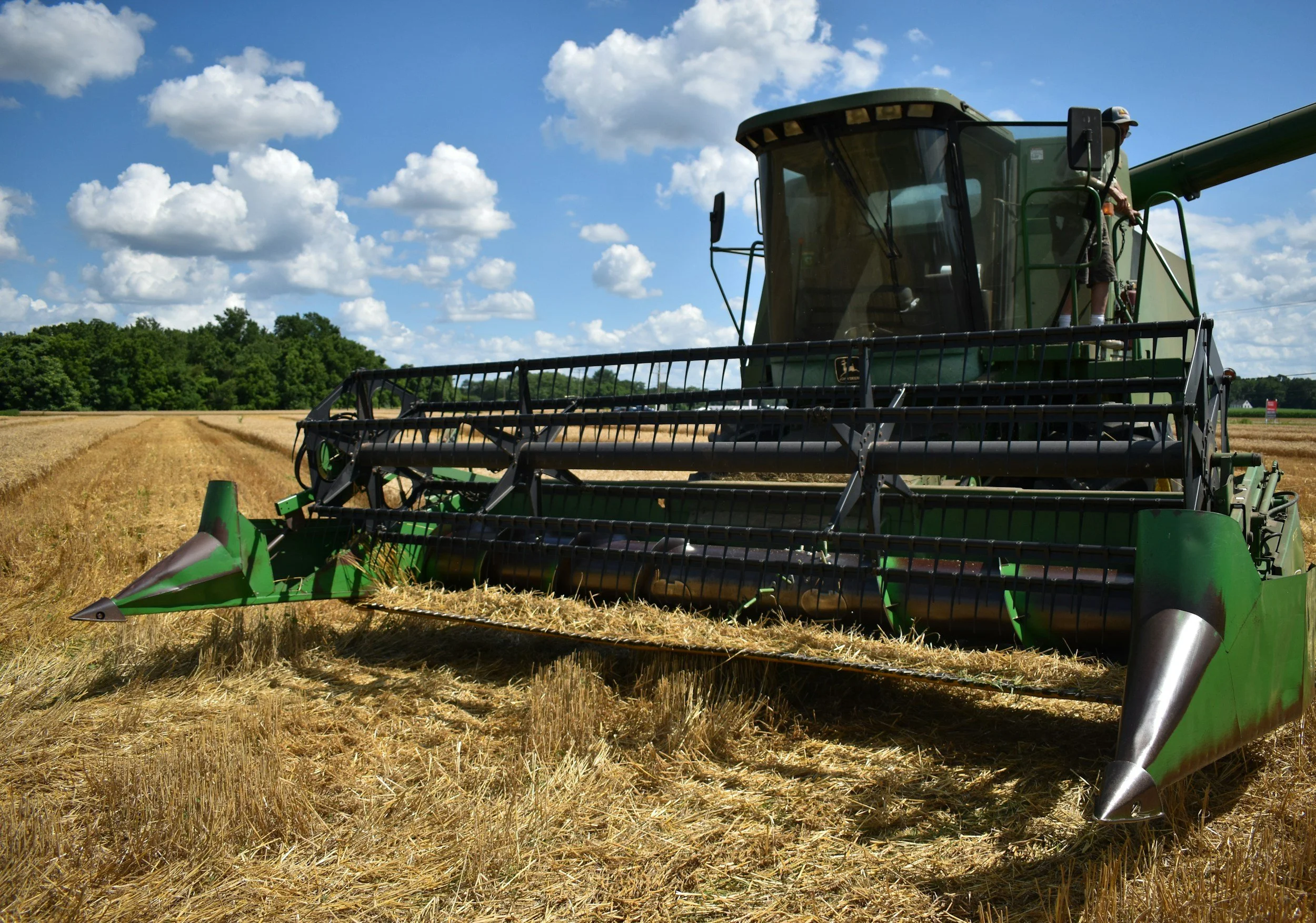 73.5 Million Tons of Grain Harvested in Russia - Harvest Progress Under Pressure