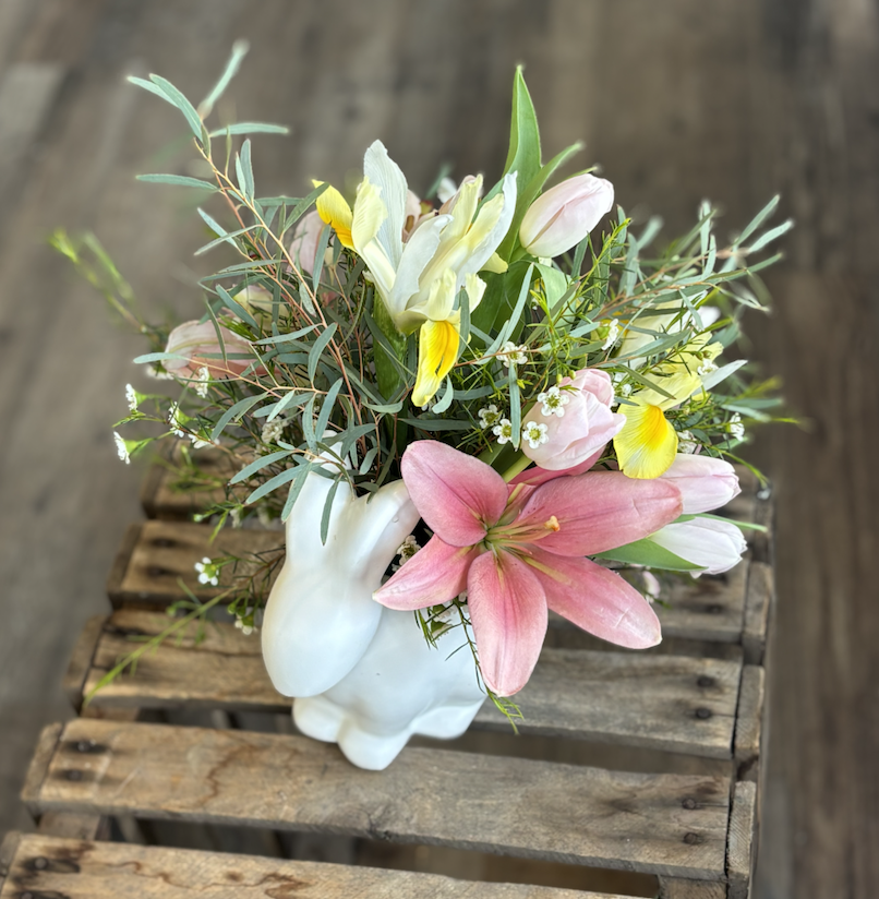 Screenshot 2026-02-27 at 11.40.22 AM.png