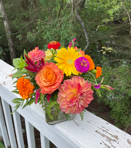 Screenshot 2025-09-09 at 9.56.48 AM.png