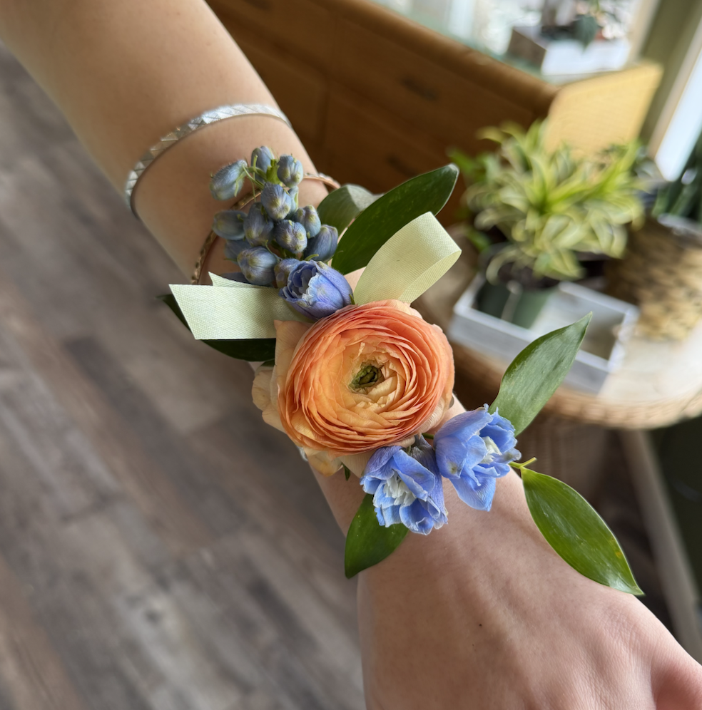 Screenshot 2026-02-19 at 1.08.32 PM.png