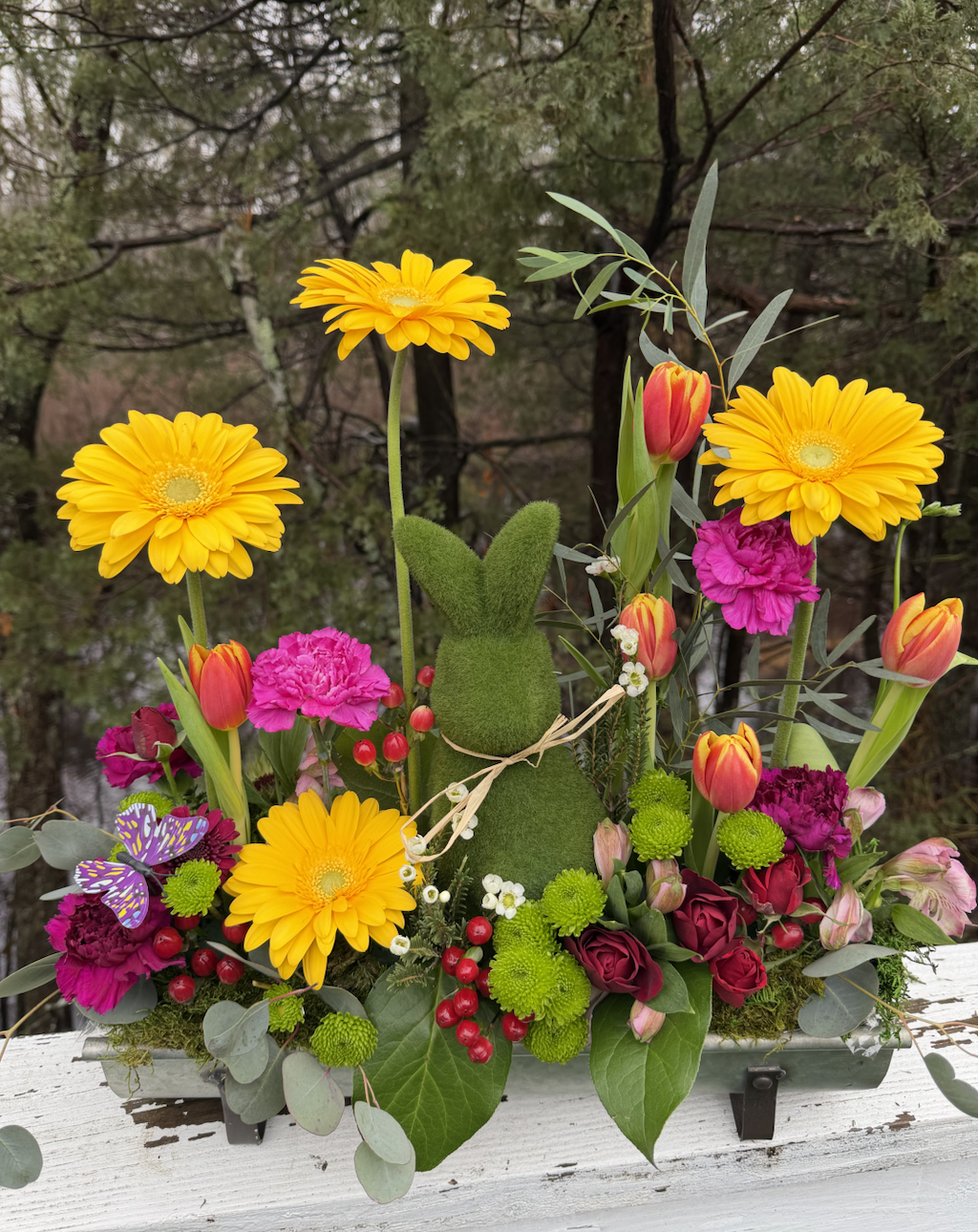 Screenshot 2026-02-25 at 12.54.34 PM.png