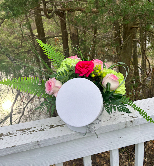 Screenshot 2026-01-14 at 3.57.22 PM.png