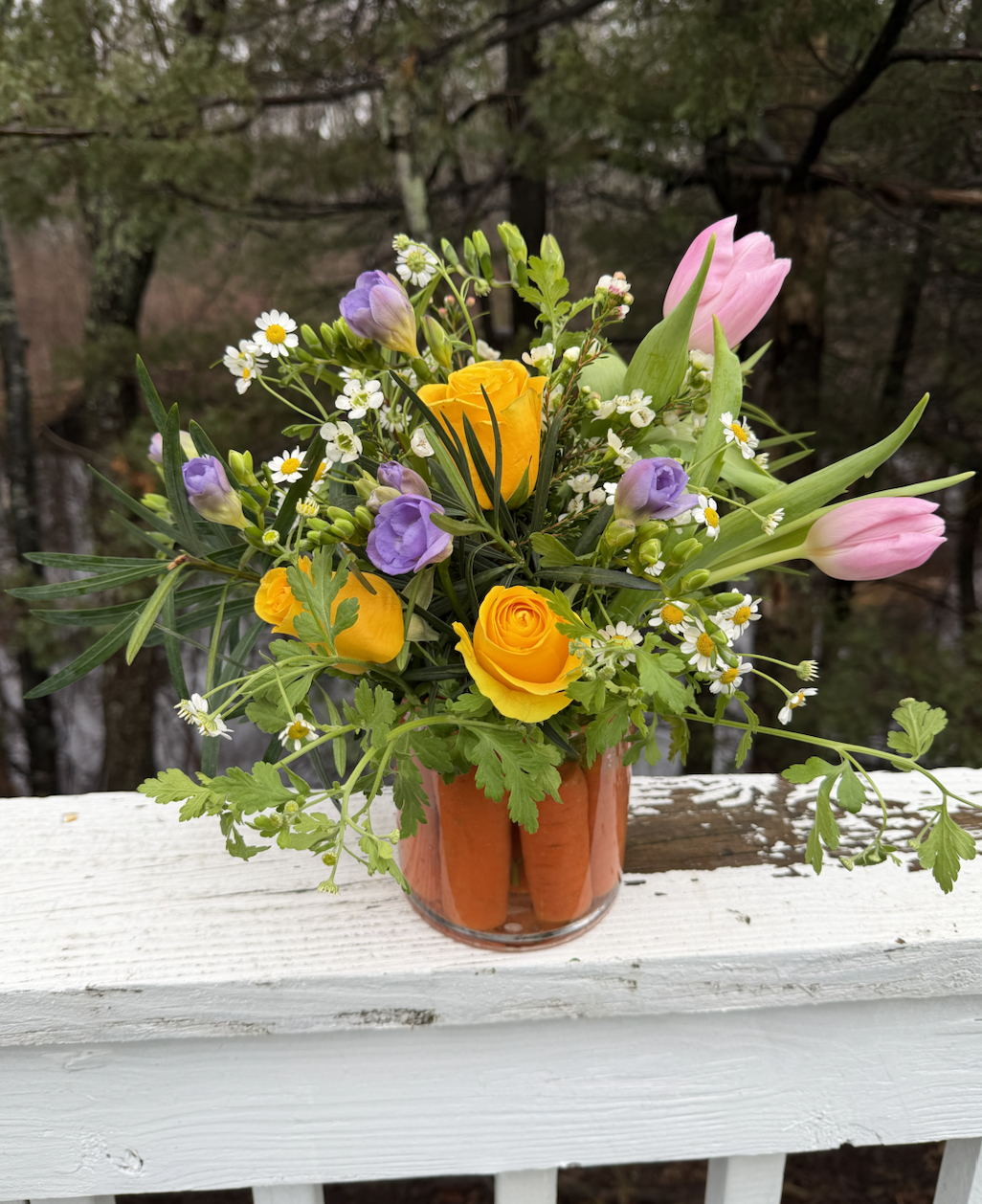 Screenshot 2026-02-25 at 1.01.19 PM.png