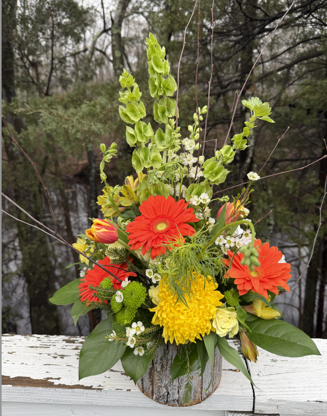 Screenshot 2026-02-25 at 1.03.14 PM.png