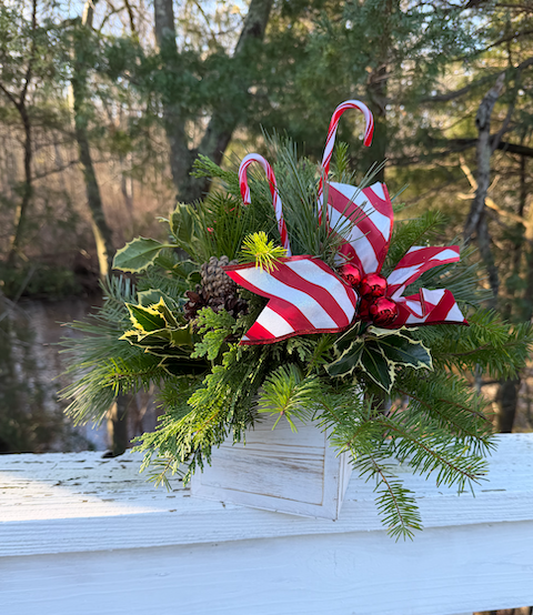 Screenshot 2025-12-01 at 2.10.49 PM.png