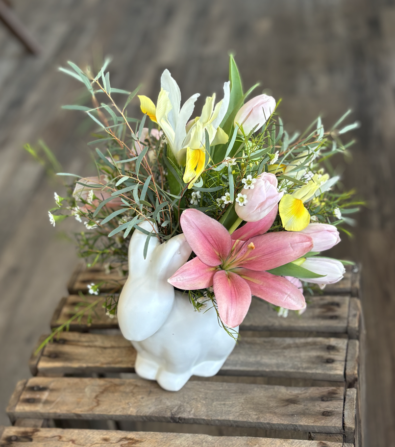 Screenshot 2026-02-27 at 11.40.13 AM.png