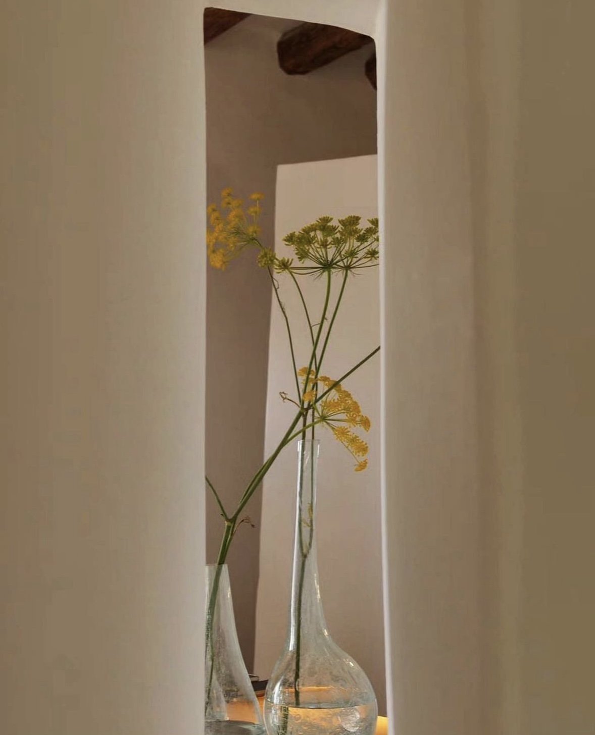 Yellow flowers in tall glass vases framed by a doorway.