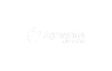 LOGO_09.png