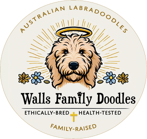 Walls Family Doodles logo