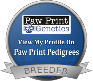 Orivet, powered by Paw Print Genetics, breeder seal