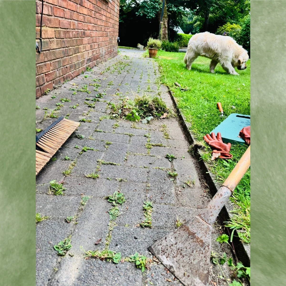 Flourishing between the cracks