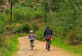 wheelbuilding blythburgh suffolk norfolk