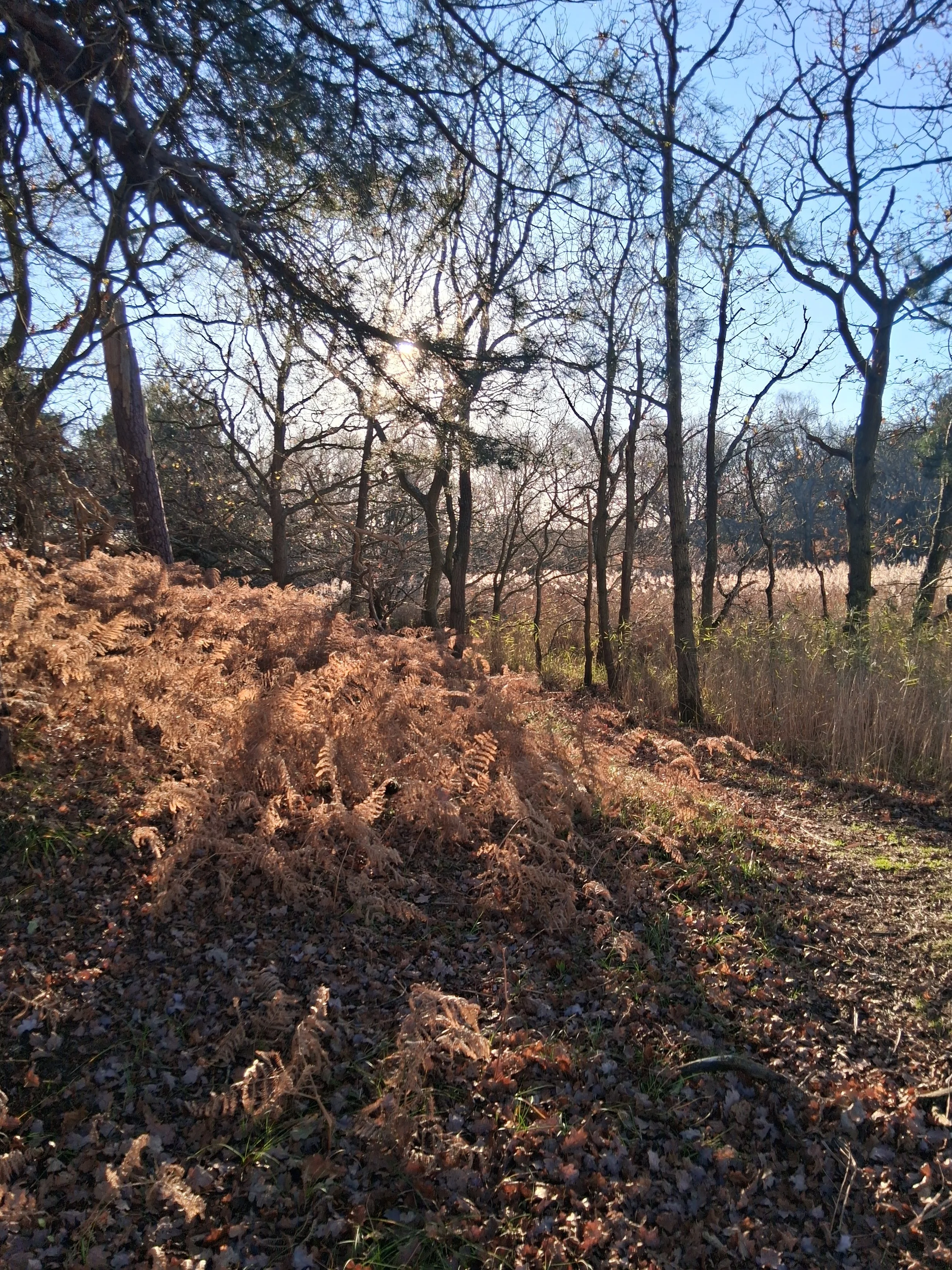 mario the wheel builder in Blythburgh Suffolk bespoke wheels wheel building bicycle wheels spoke repairs spoke mechanic rim repairs replace spokes and wheel trueing gravel cycling Blythburgh Suffolk Dunwich Forest