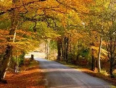 wheelbuilding in Blythburgh Suffolk mario the wheelbuilder Blythburgh Suffolk bespoke bicycle wheel builds bicycle spoke repairs