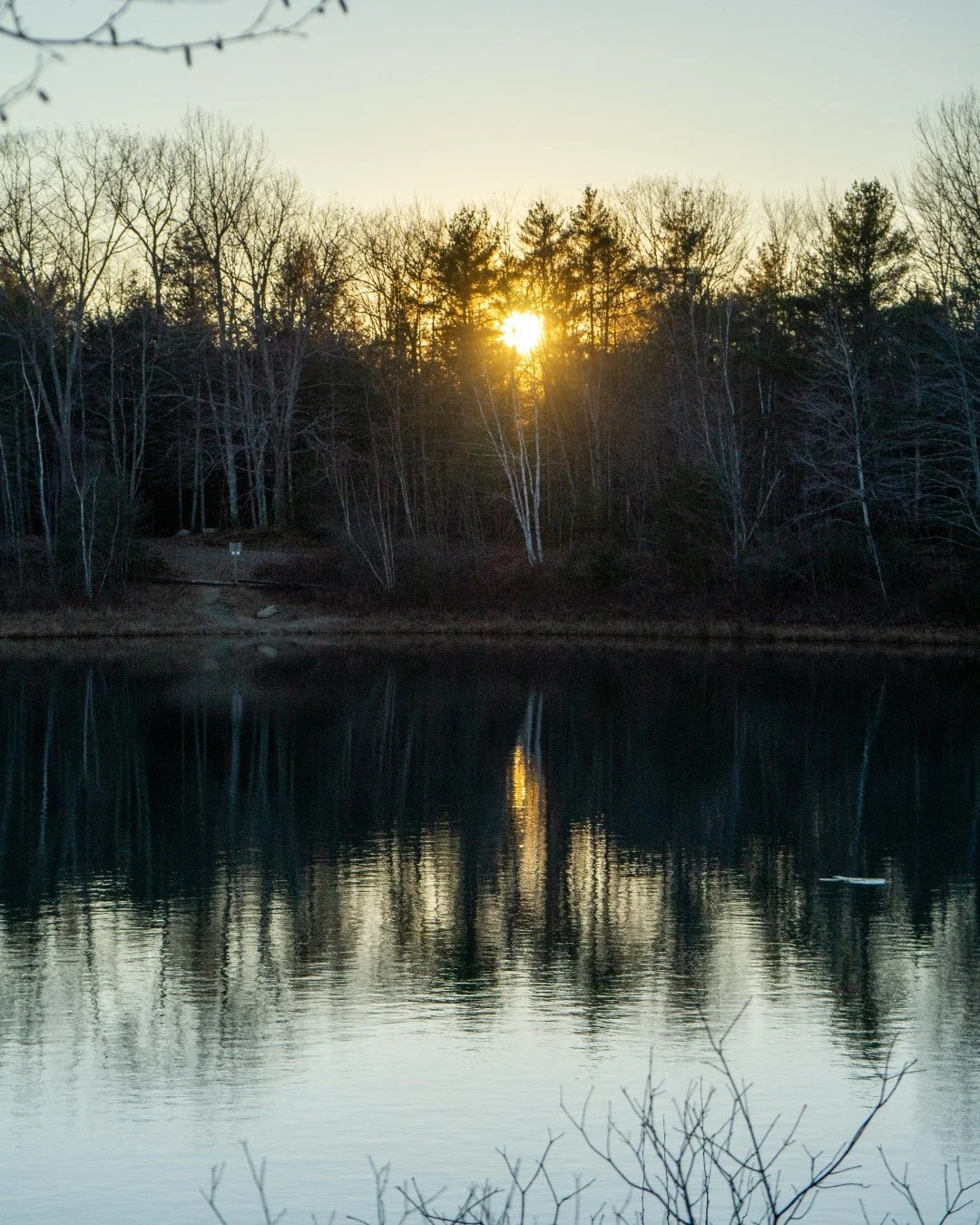 At Phillips Exeter Academy, I&rsquo;ve had the chance to study human-environment interactions and regenerative farming, deepening my understanding of how our surroundings affect our brains. From the air we breathe to the food we eat, environmental fa