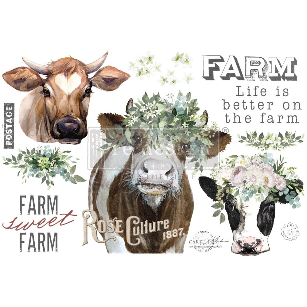 cows.jpeg