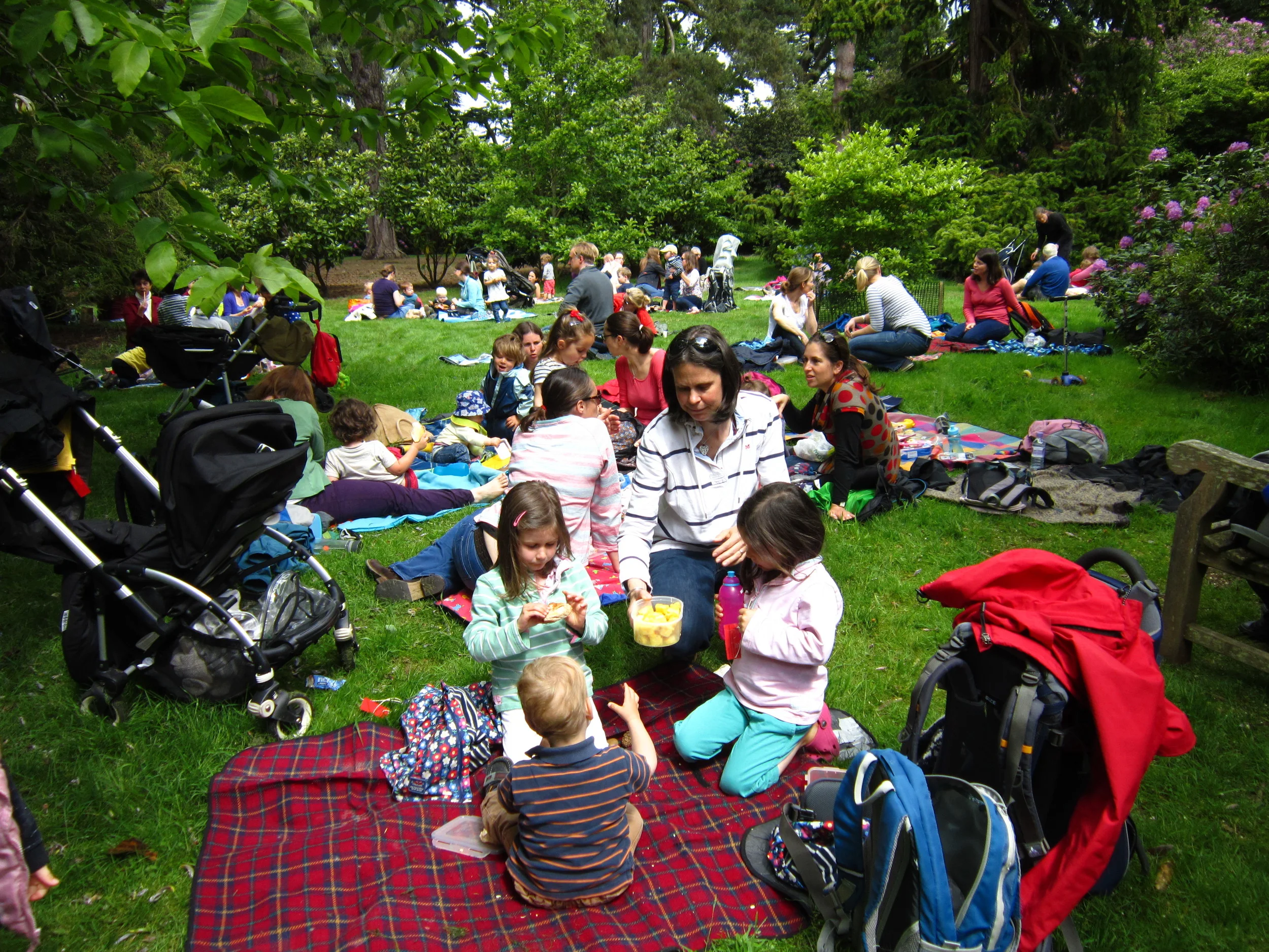 picnic-001.JPG