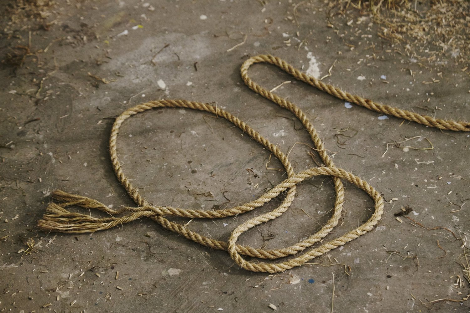Reassemble for Purpose — Platform Arts, Belfast