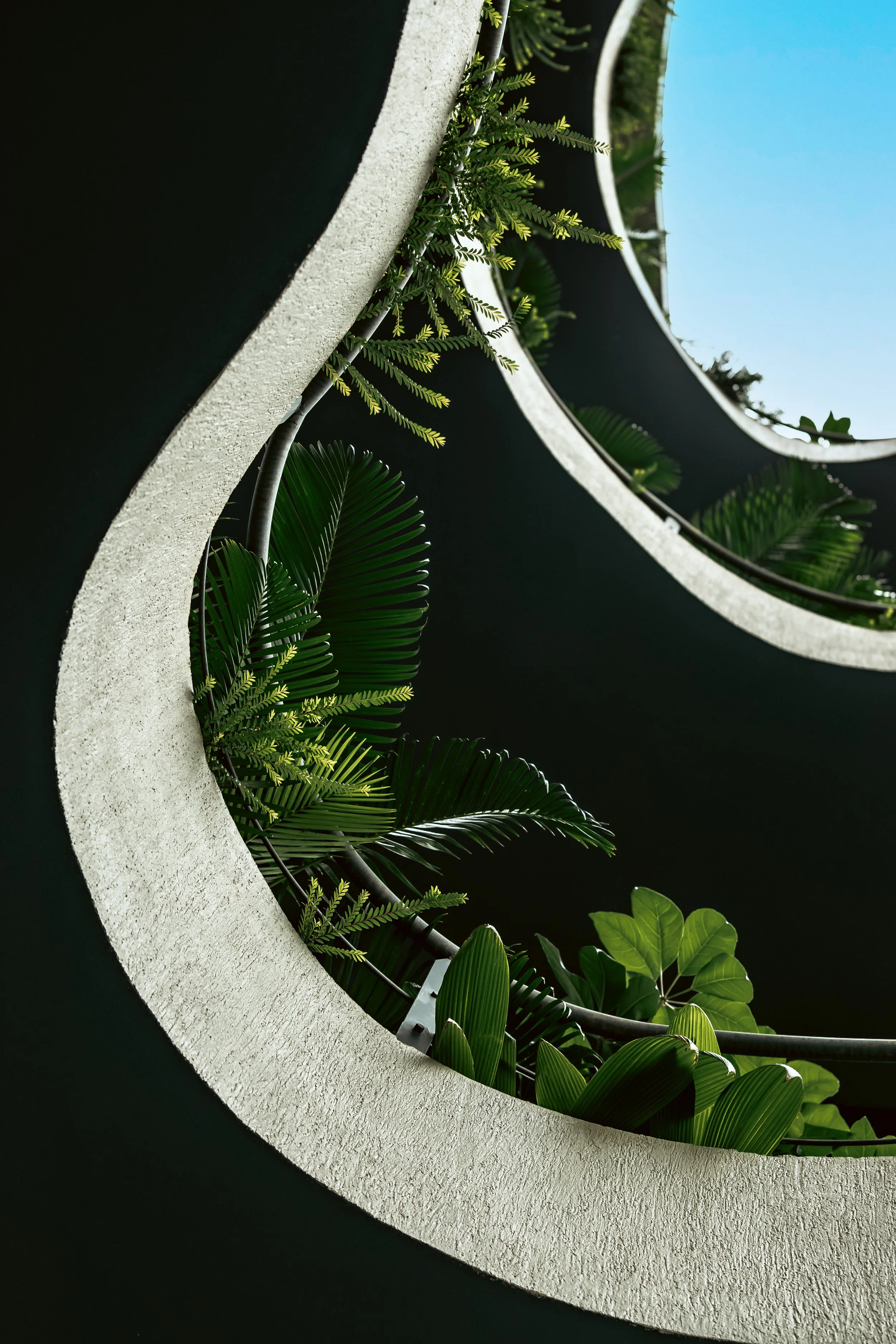Icon Ebene architectural lighting and ceiling design detail