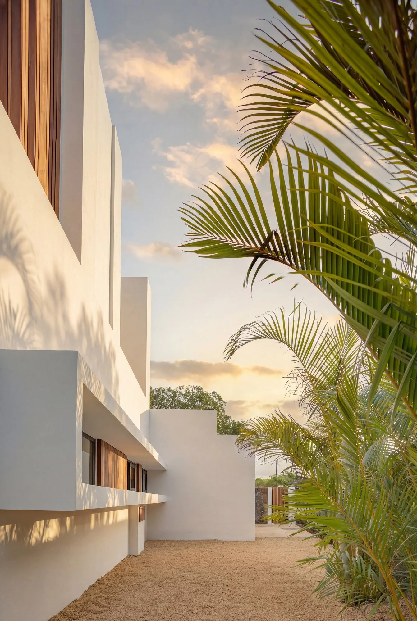 Vue d'un bâtiment moderne blanc avec balcon en bois et palmier vert dans un ciel partiellement nuageux au coucher du soleil.