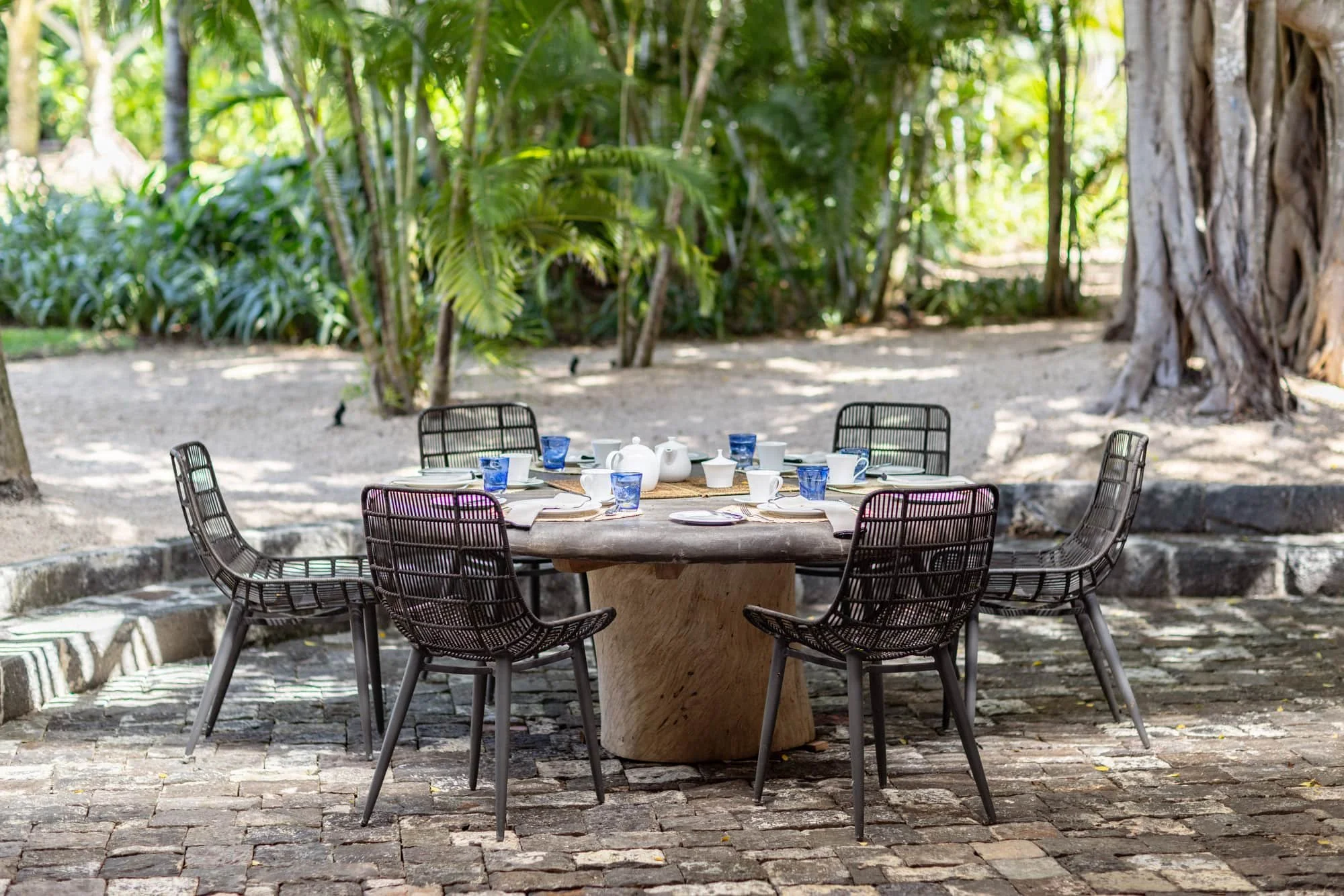 Outdoor dining area beneath a banyan tree in a tropical stone courtyard