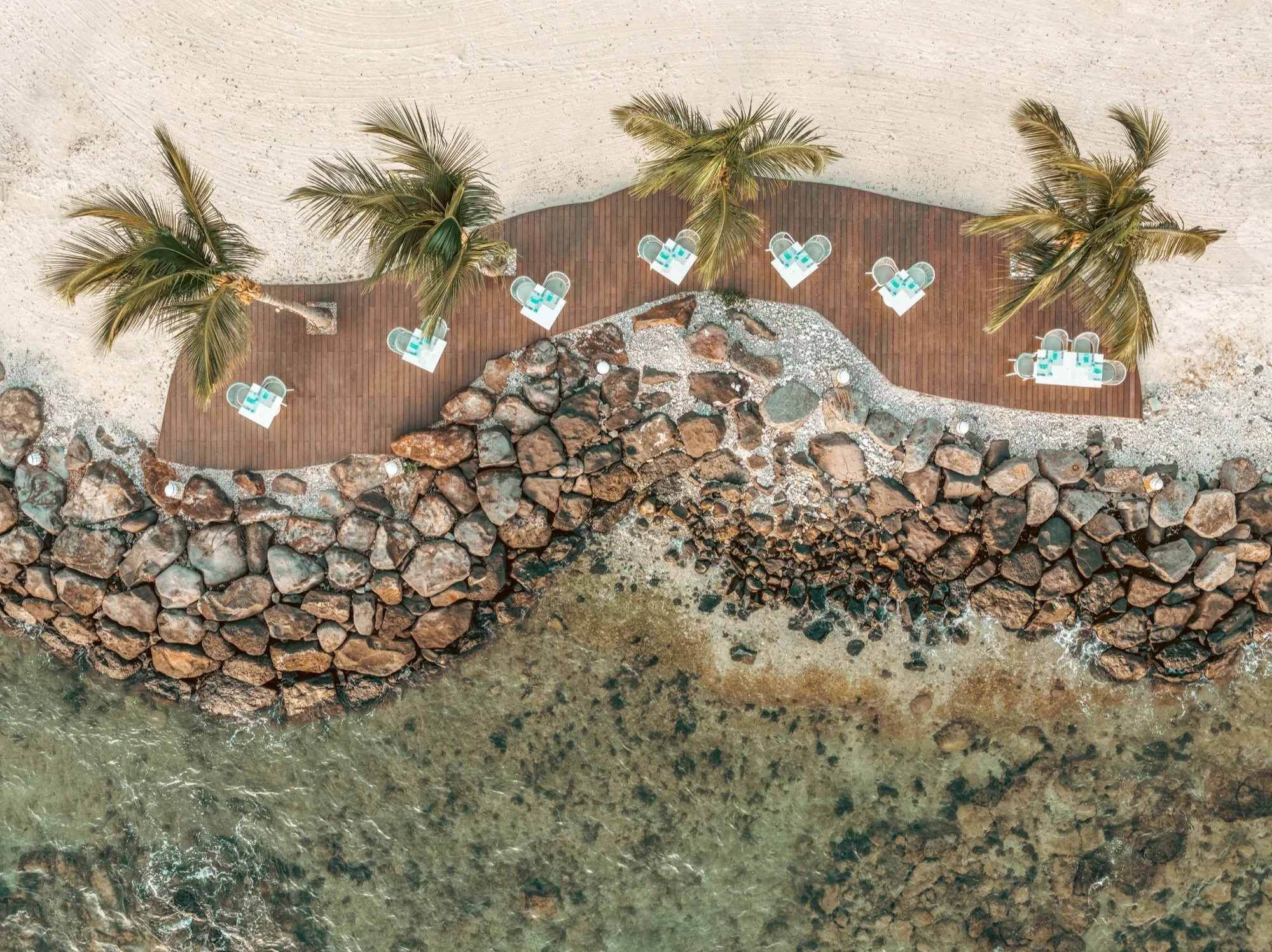 Oceanfront hospitality architecture with pool and palm trees