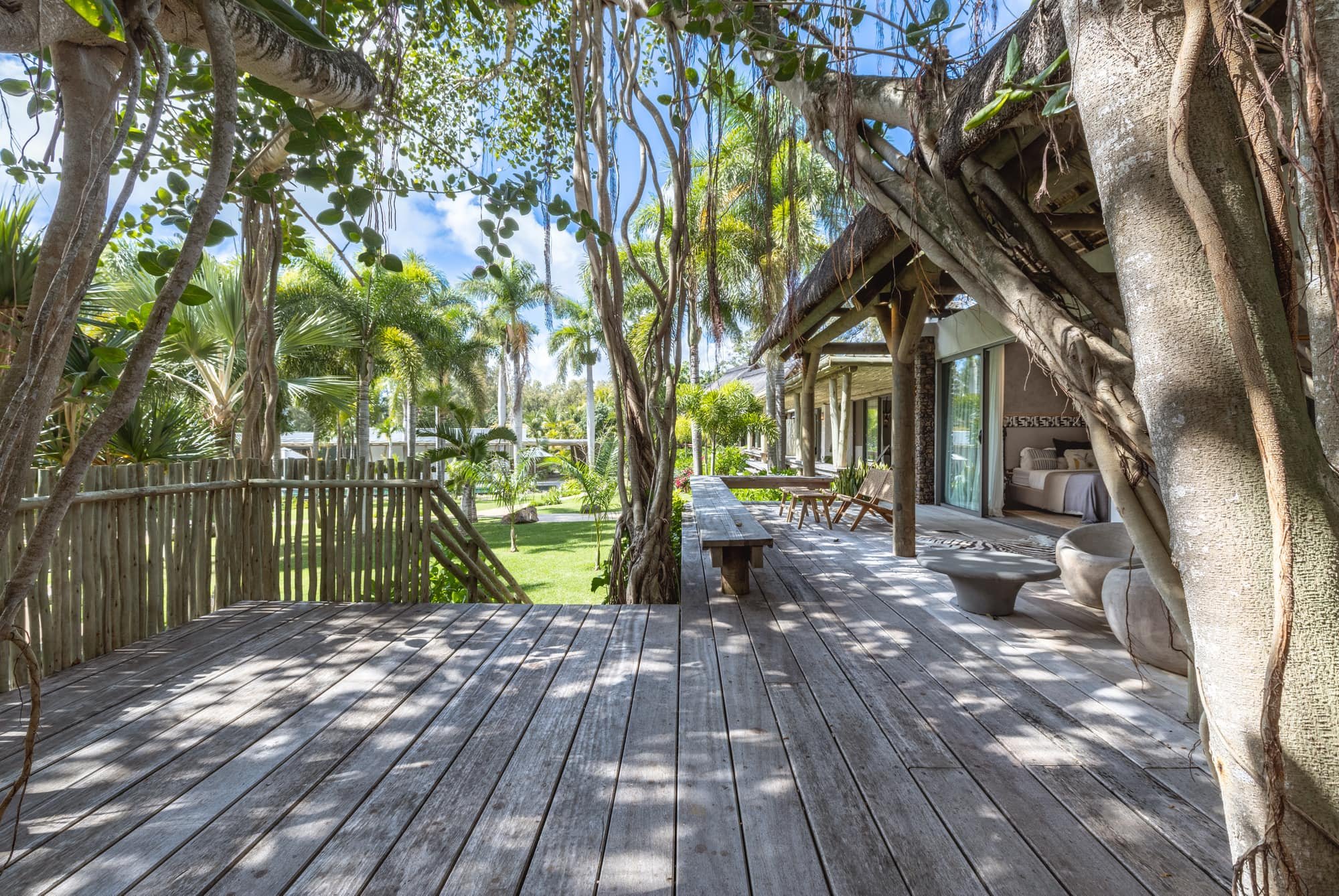 Timber deck and bedroom pavilion woven around a mature banyan tree