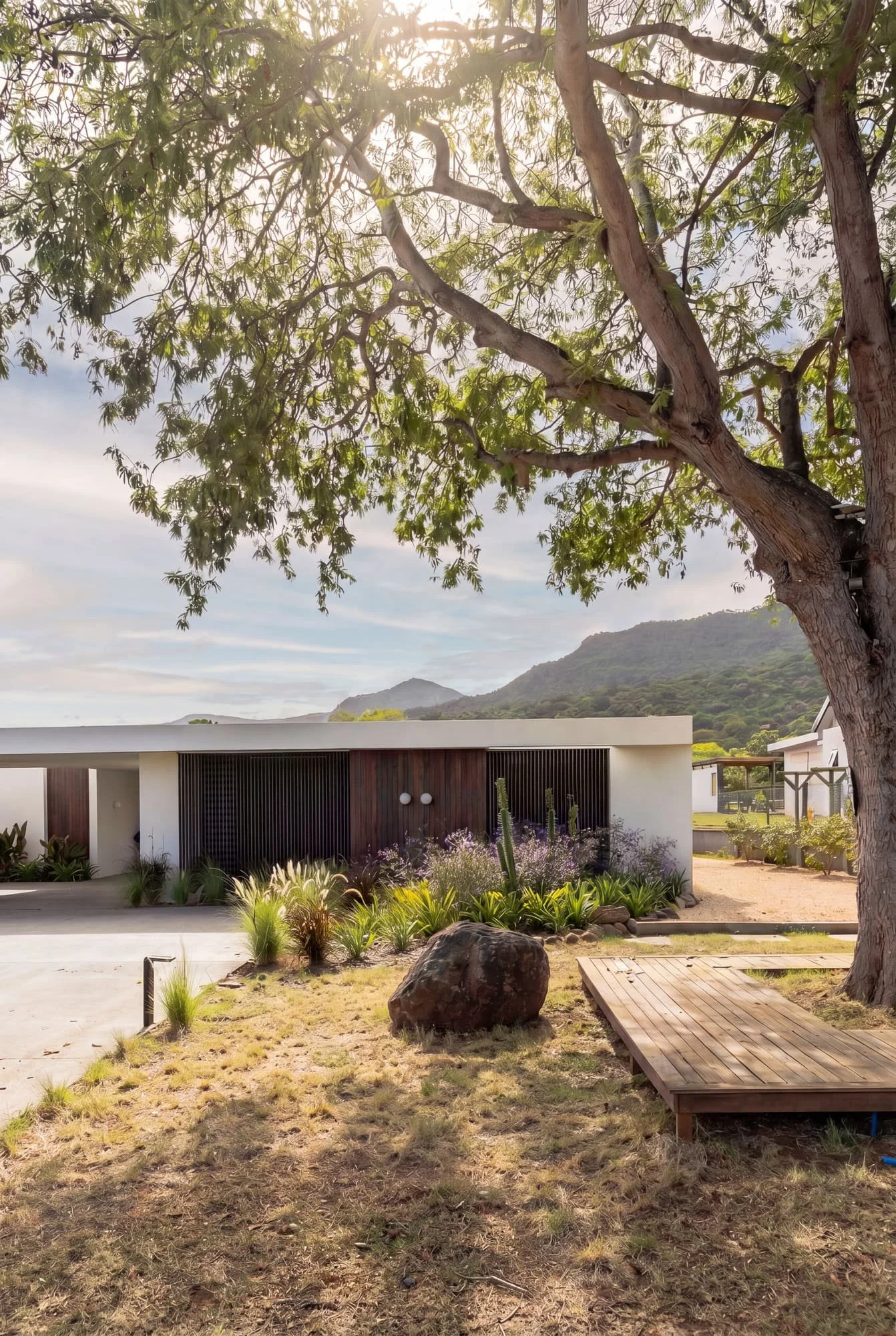 Krono Residence front facade framed by a mature tree