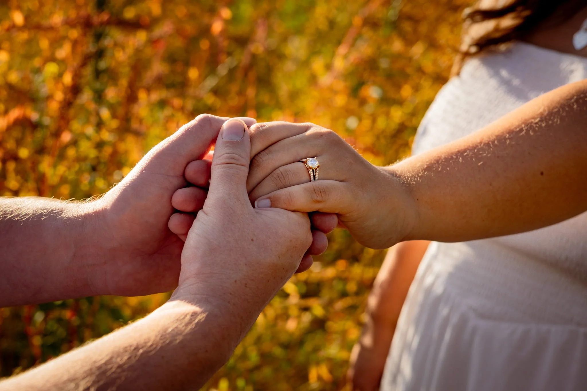 Image Compressor 5697.jpg