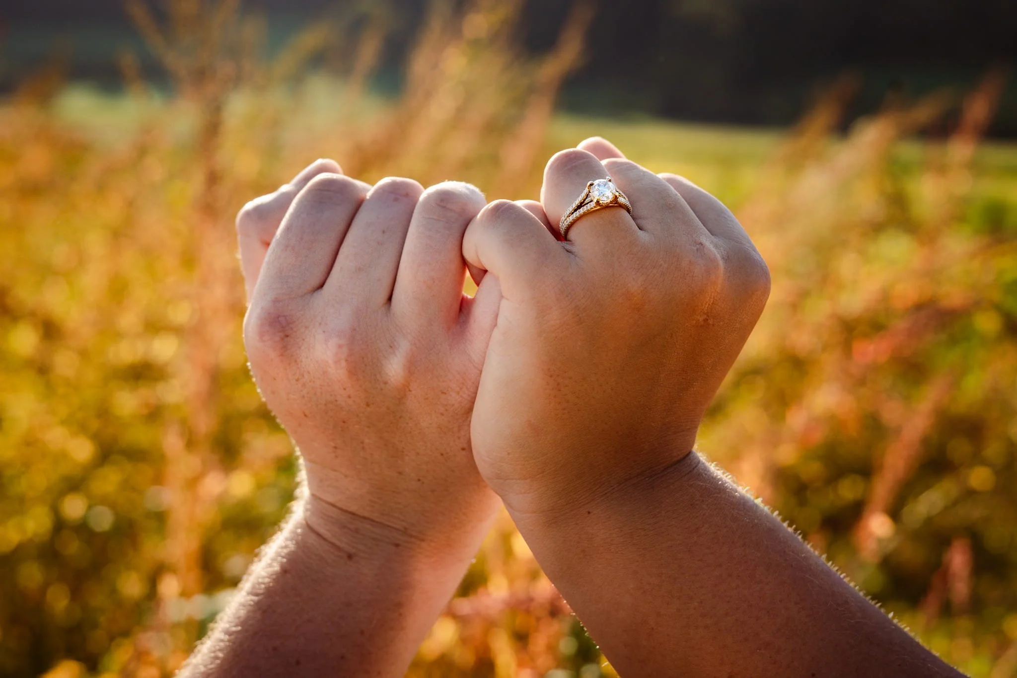 Image Compressor Output.jpg