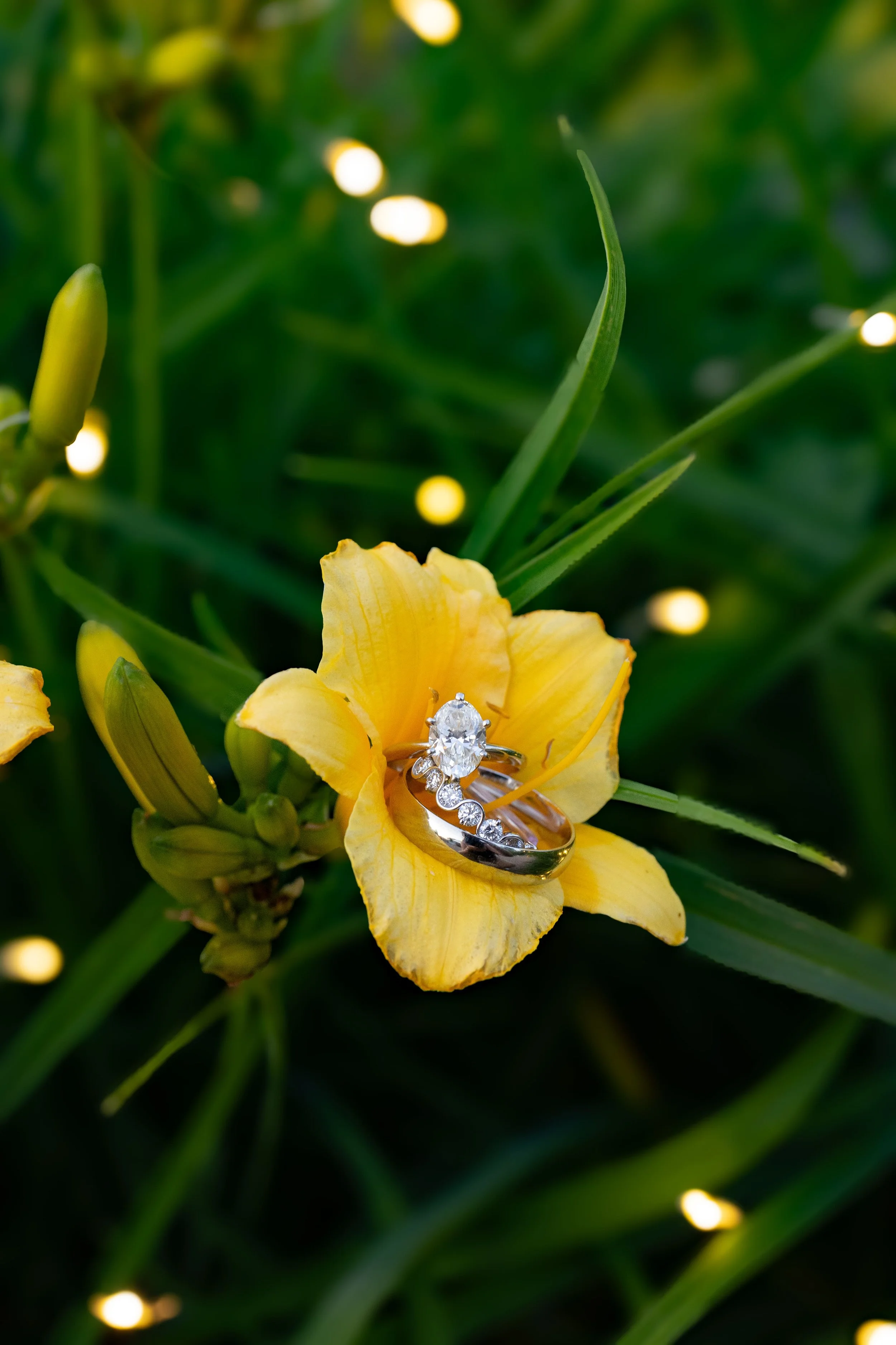 Photo Jun 20 2025, 8 25 58 AM.jpg