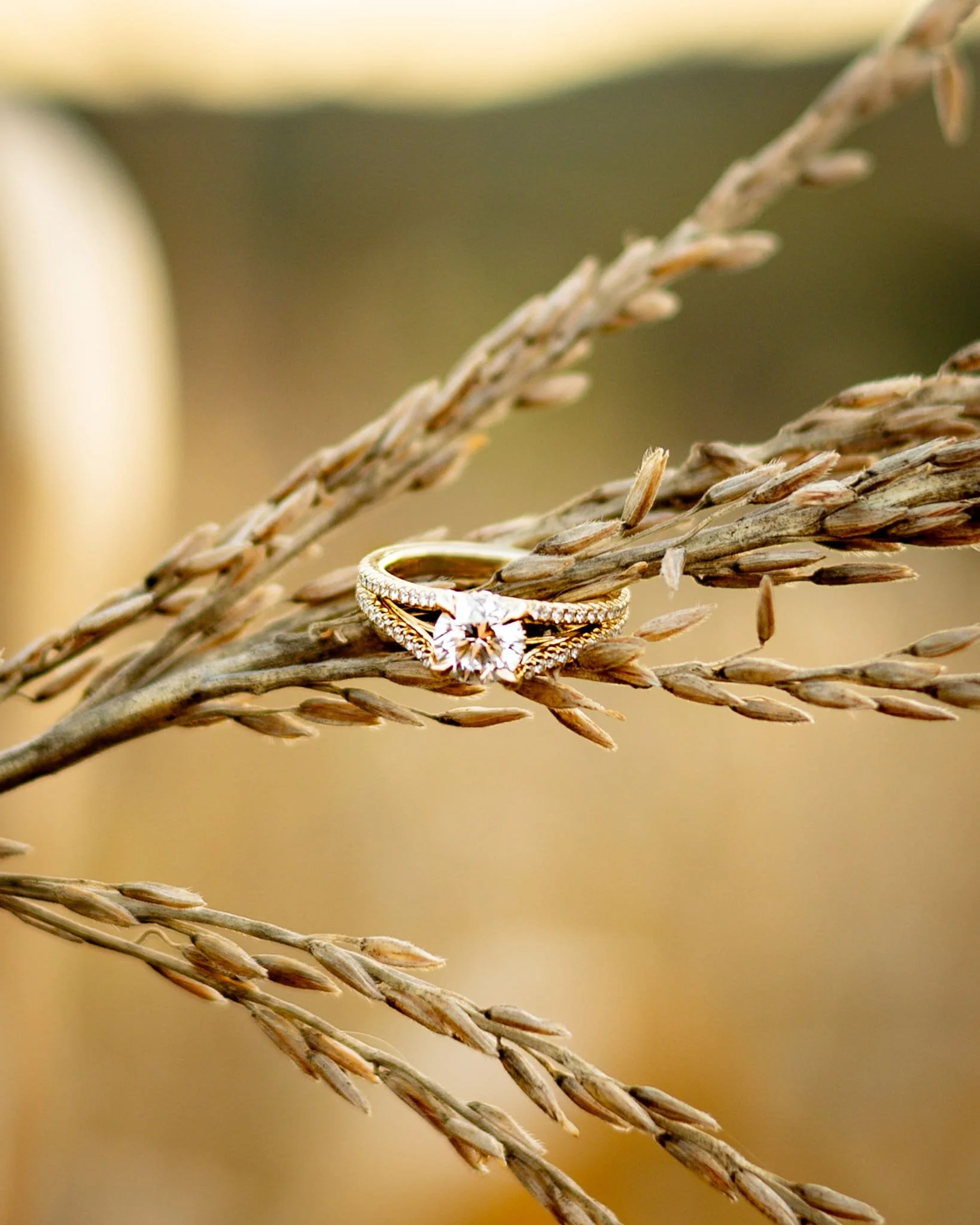 Photo Sep 28 2025, 6 21 49 AM.jpg