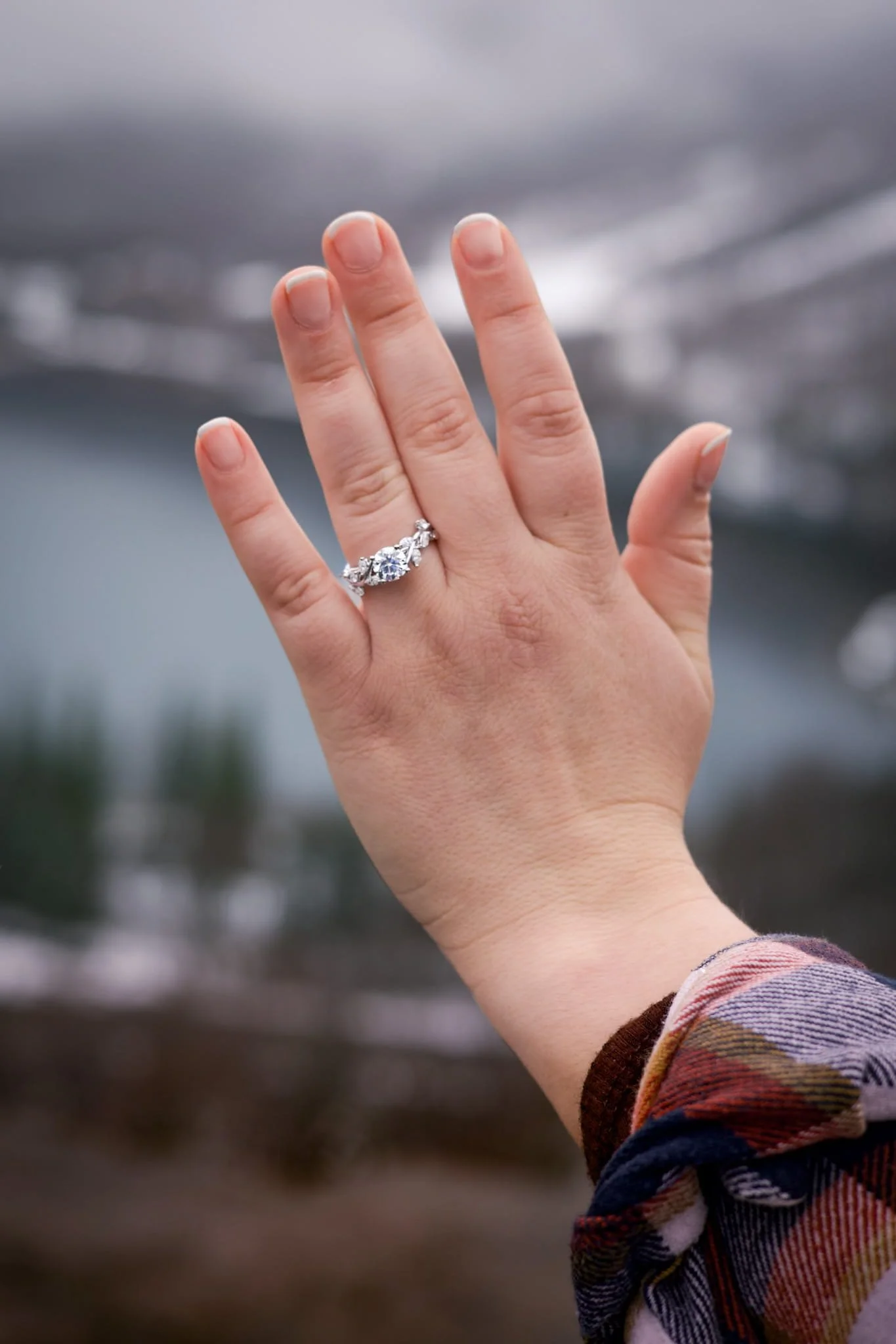 Image Compressor 0333.jpg