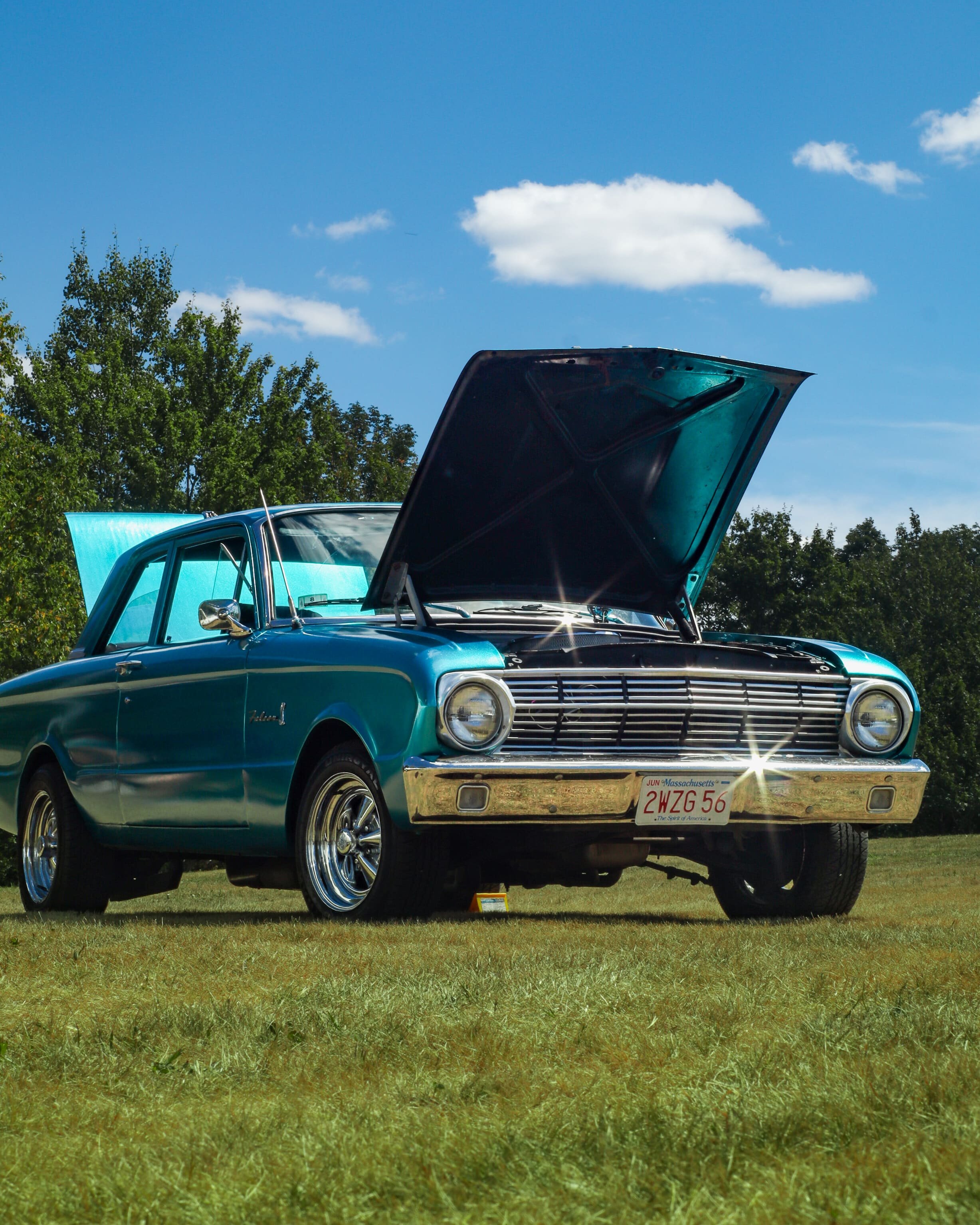 Photo Aug 14 2022, 1 11 52 PM.jpg