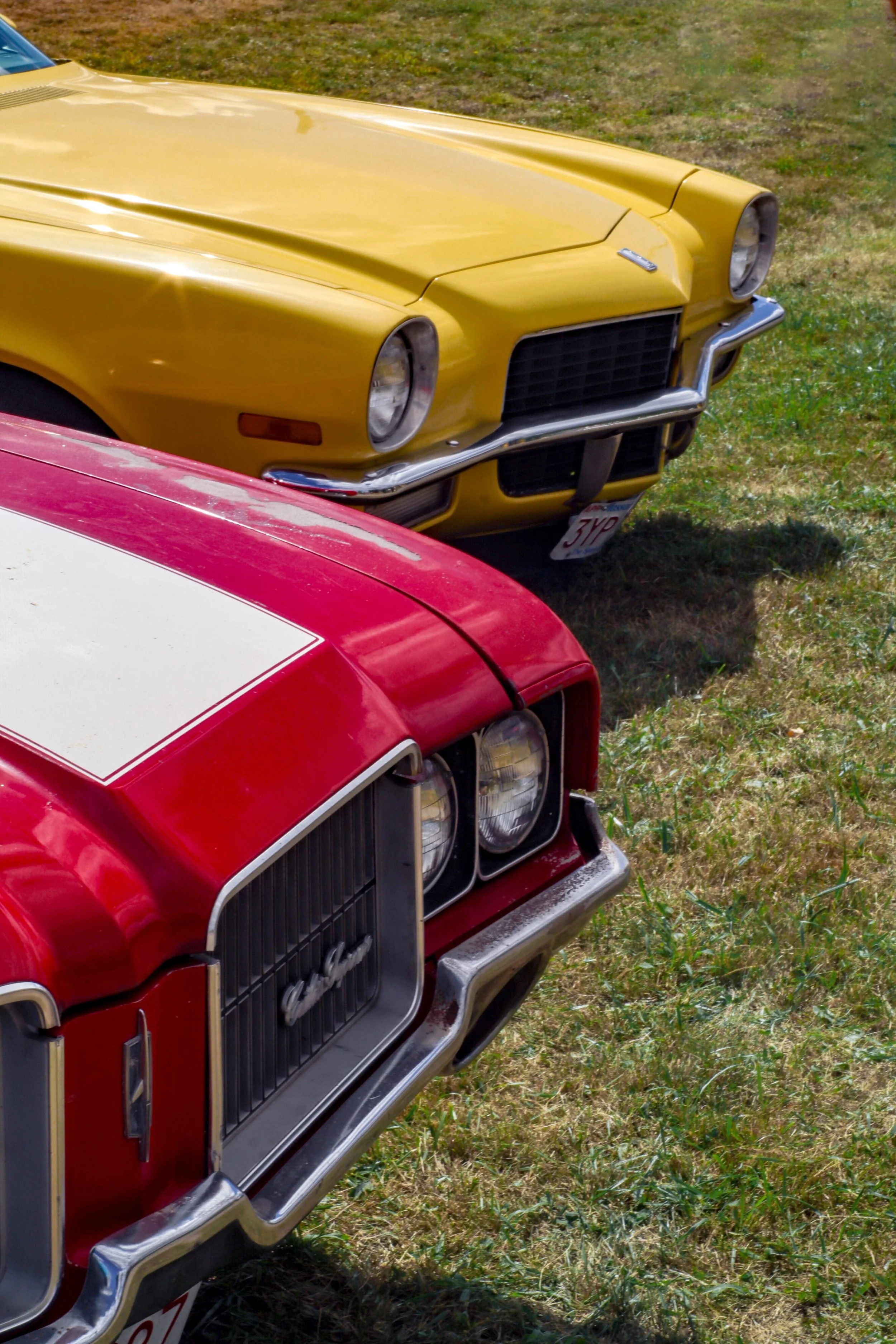 Photo Aug 14 2022, 10 10 44 AM.jpg