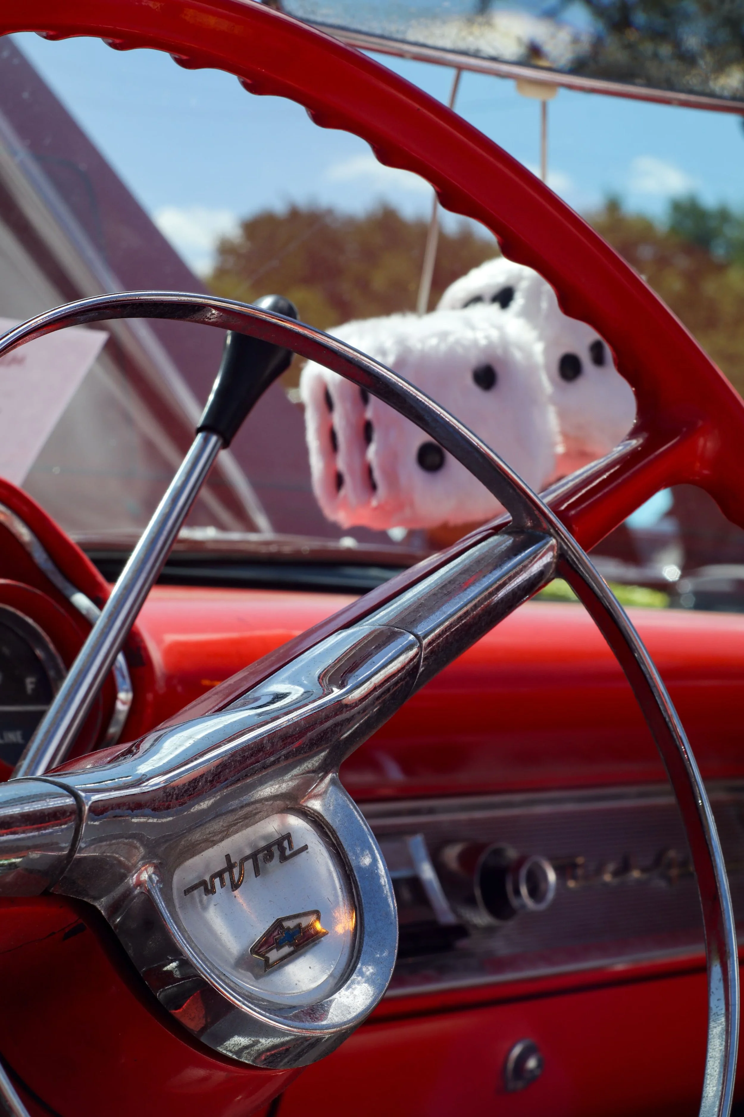 Photo Aug 14 2022, 12 32 40 PM.jpg