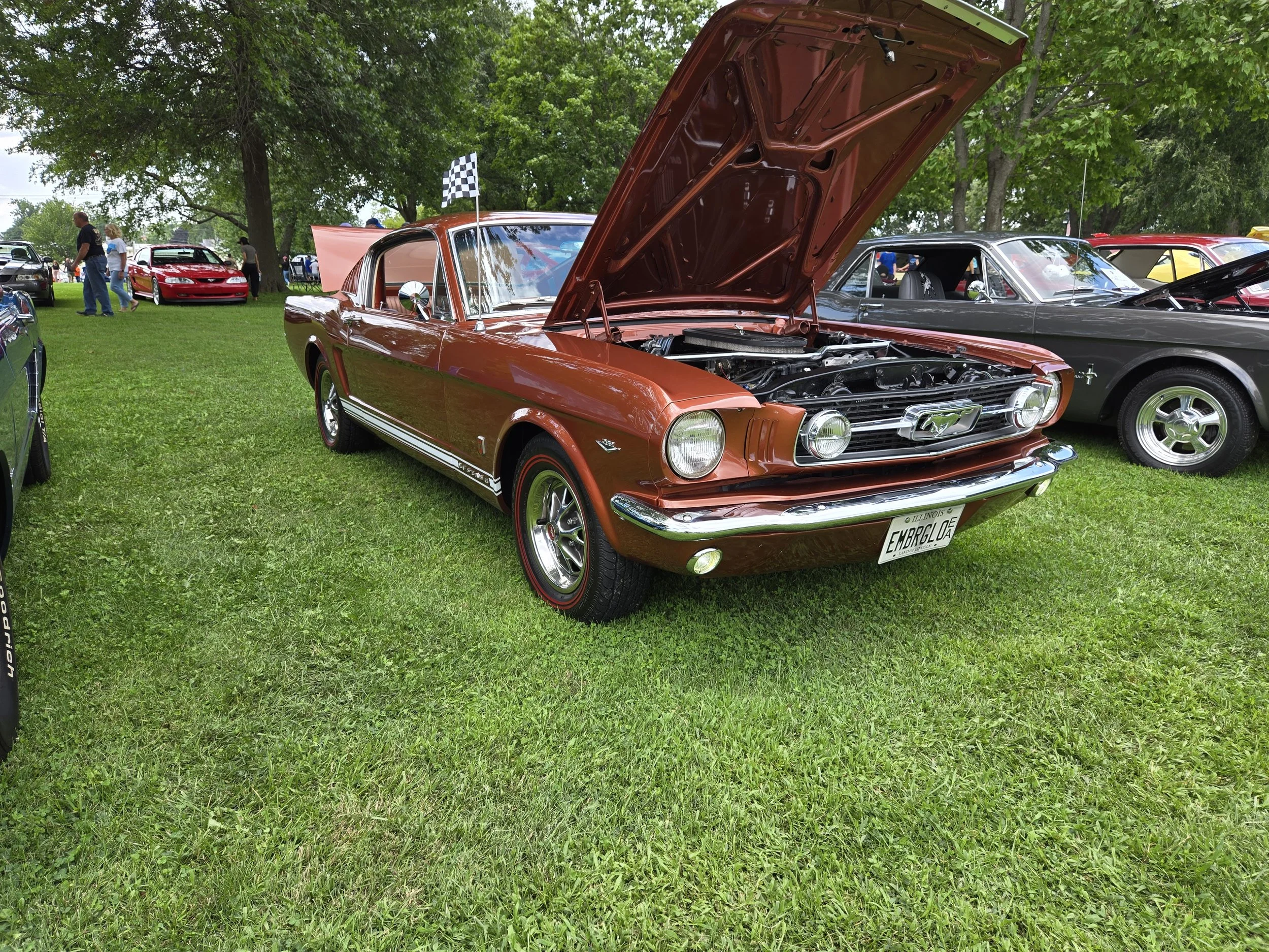 20260802_113454.jpg