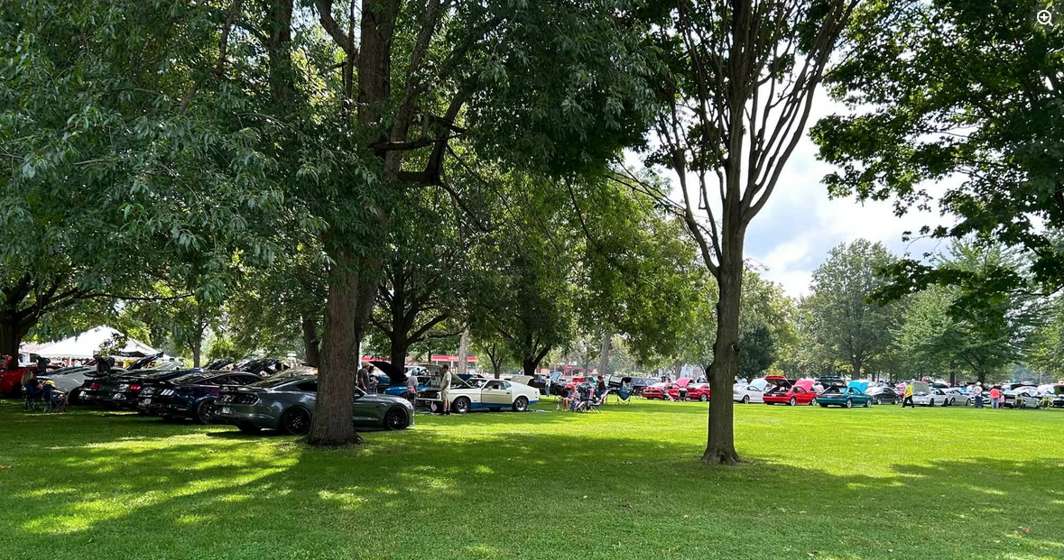 2026-show field.png
