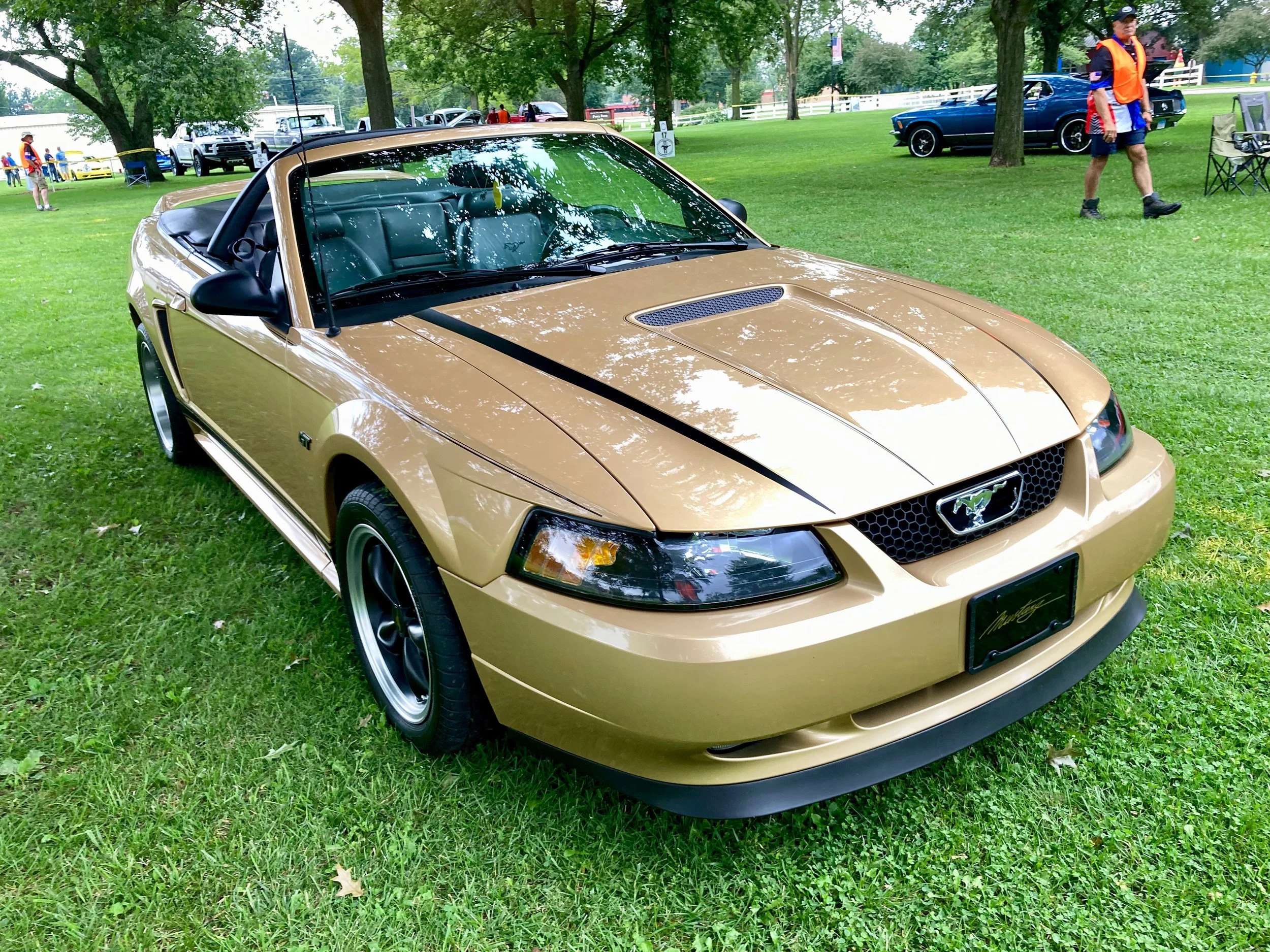 2026-New Edge Convertible.jpg