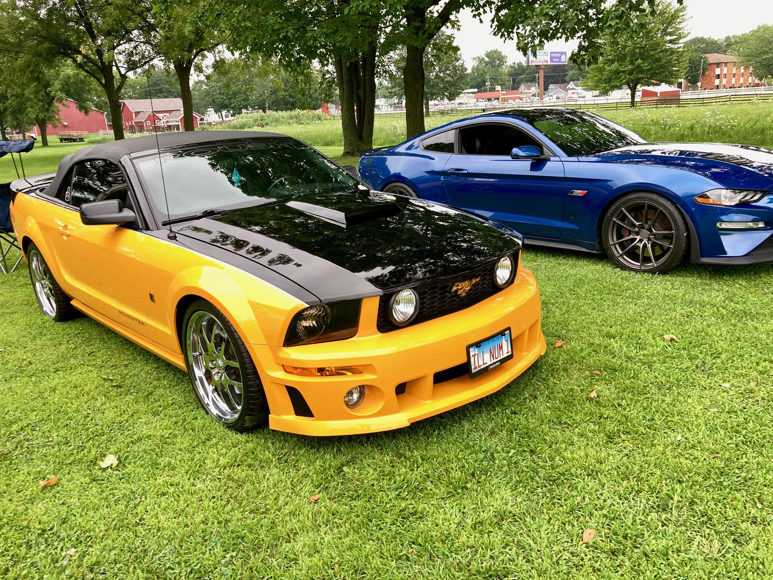 2026- Rousch Roadster.jpg