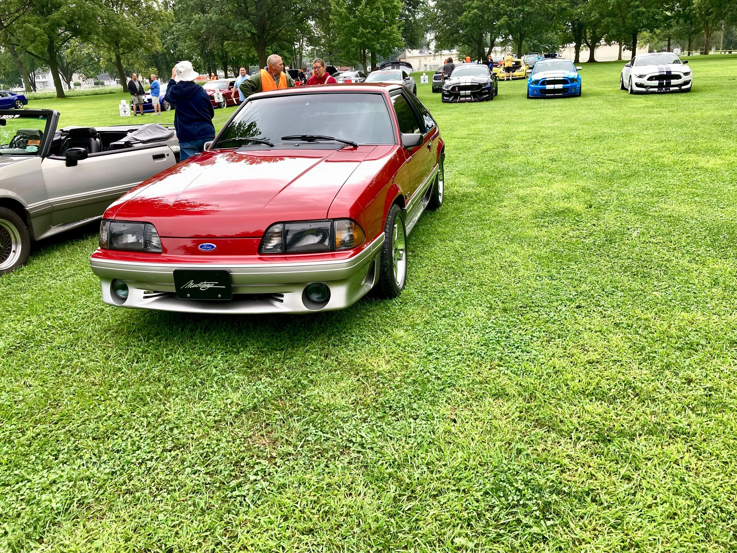 2026- show field early on.jpg