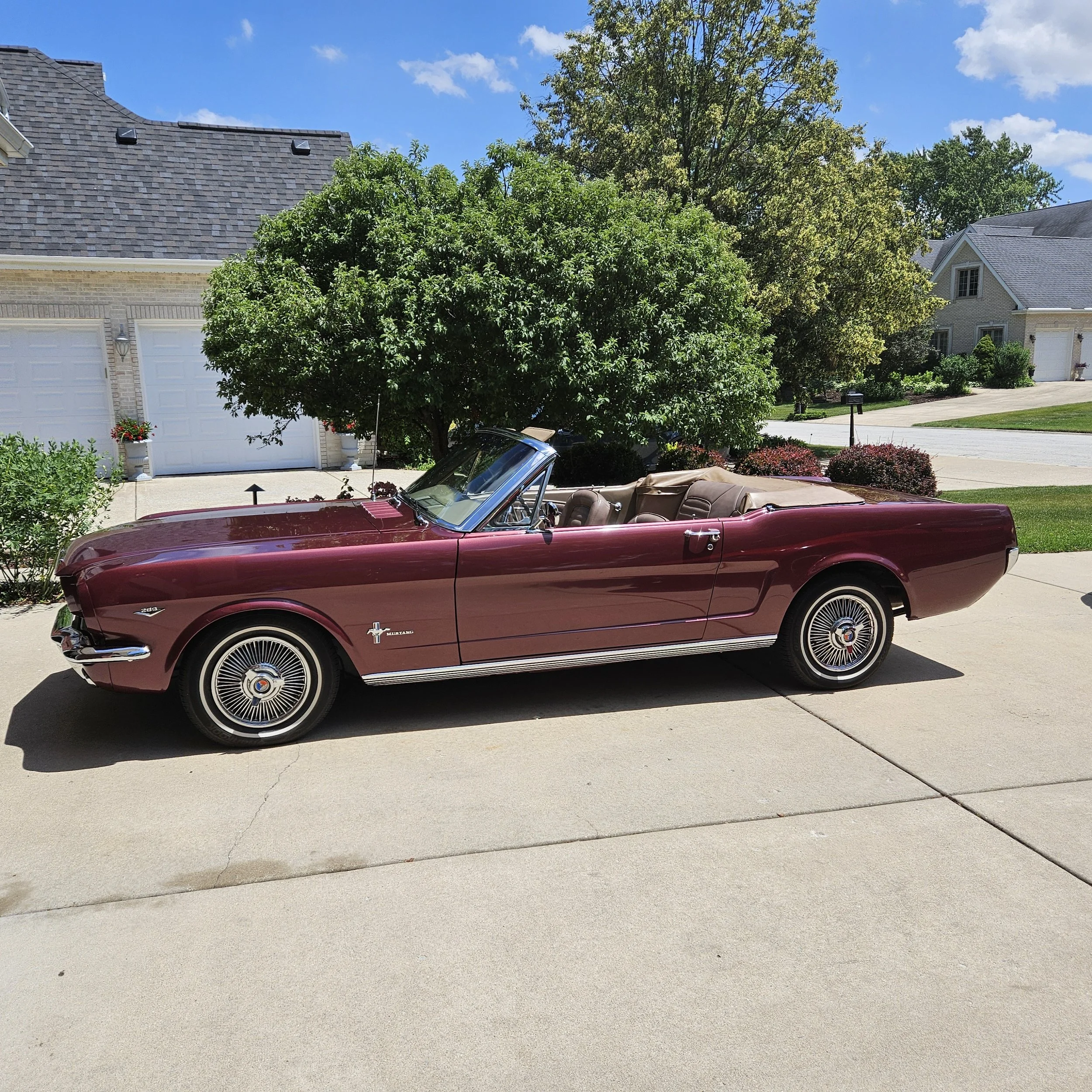 1966conv.jpg
