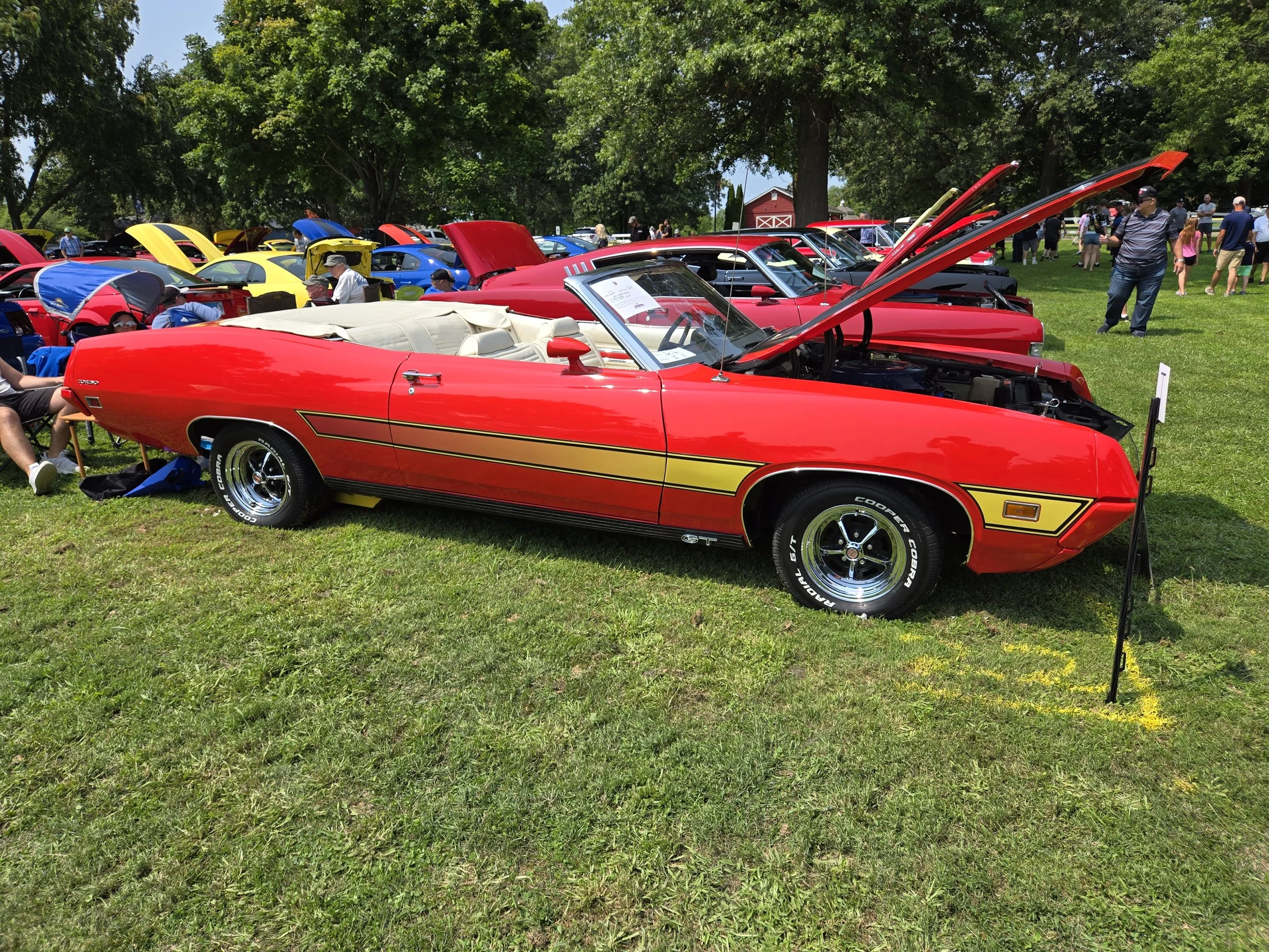2025 Annual Show