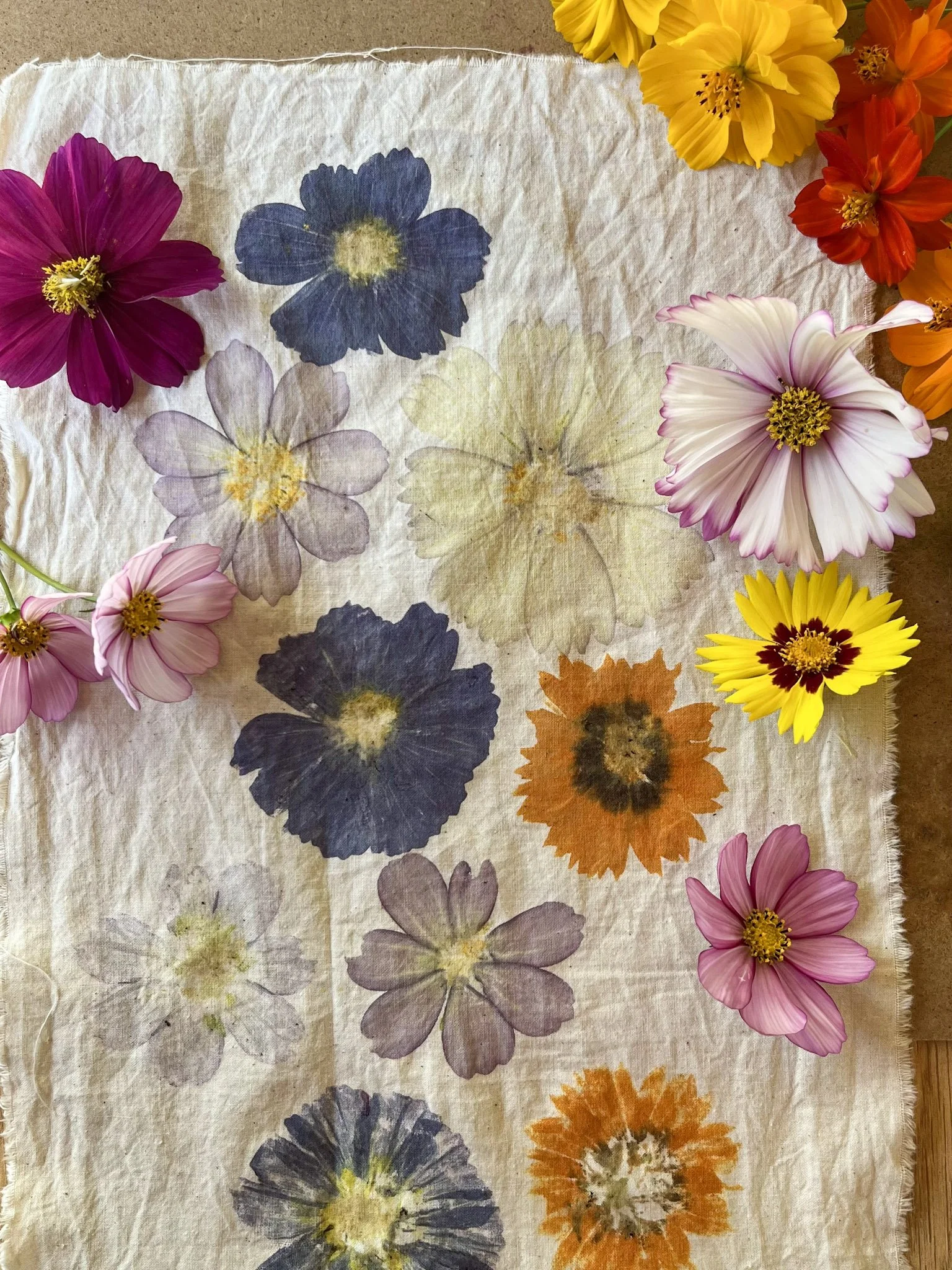 5-ecoprint-IMG_7200 copy.jpg