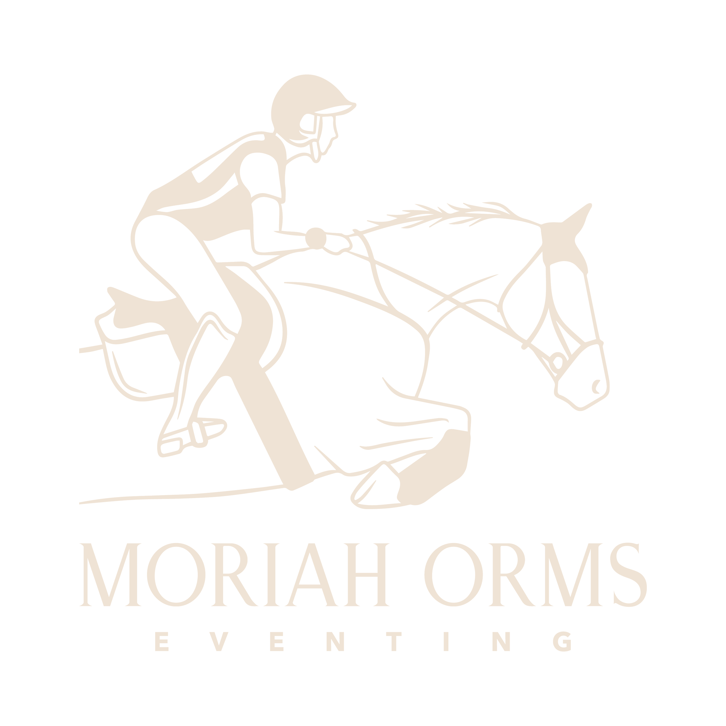 Logos individual 3-07.png