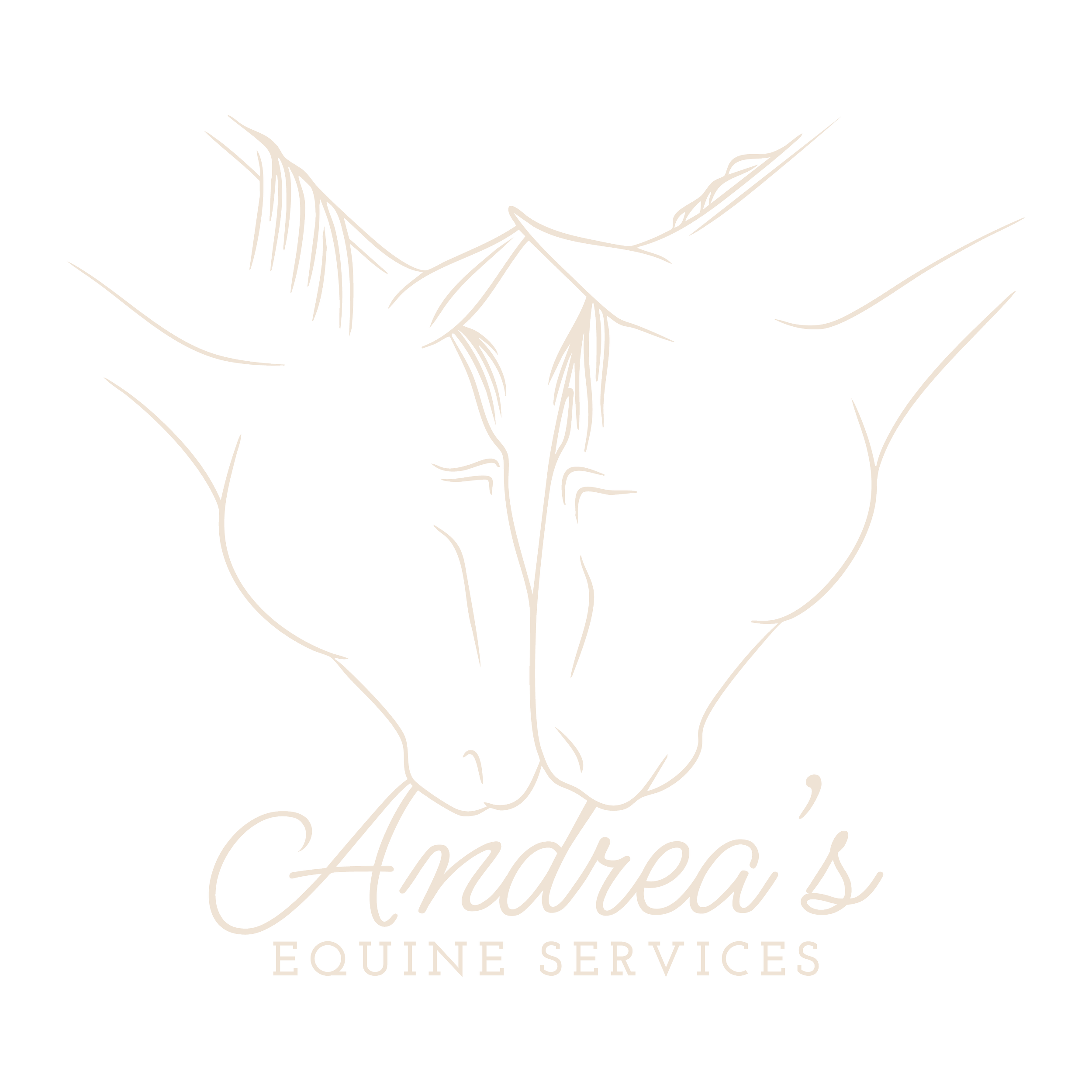 Logos individual 3-01.png