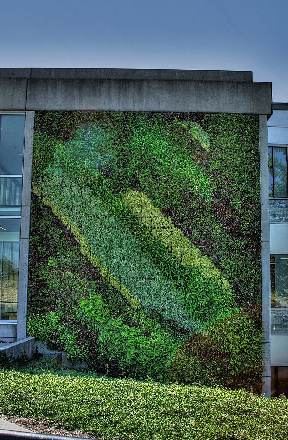 Green Walls in Architecture