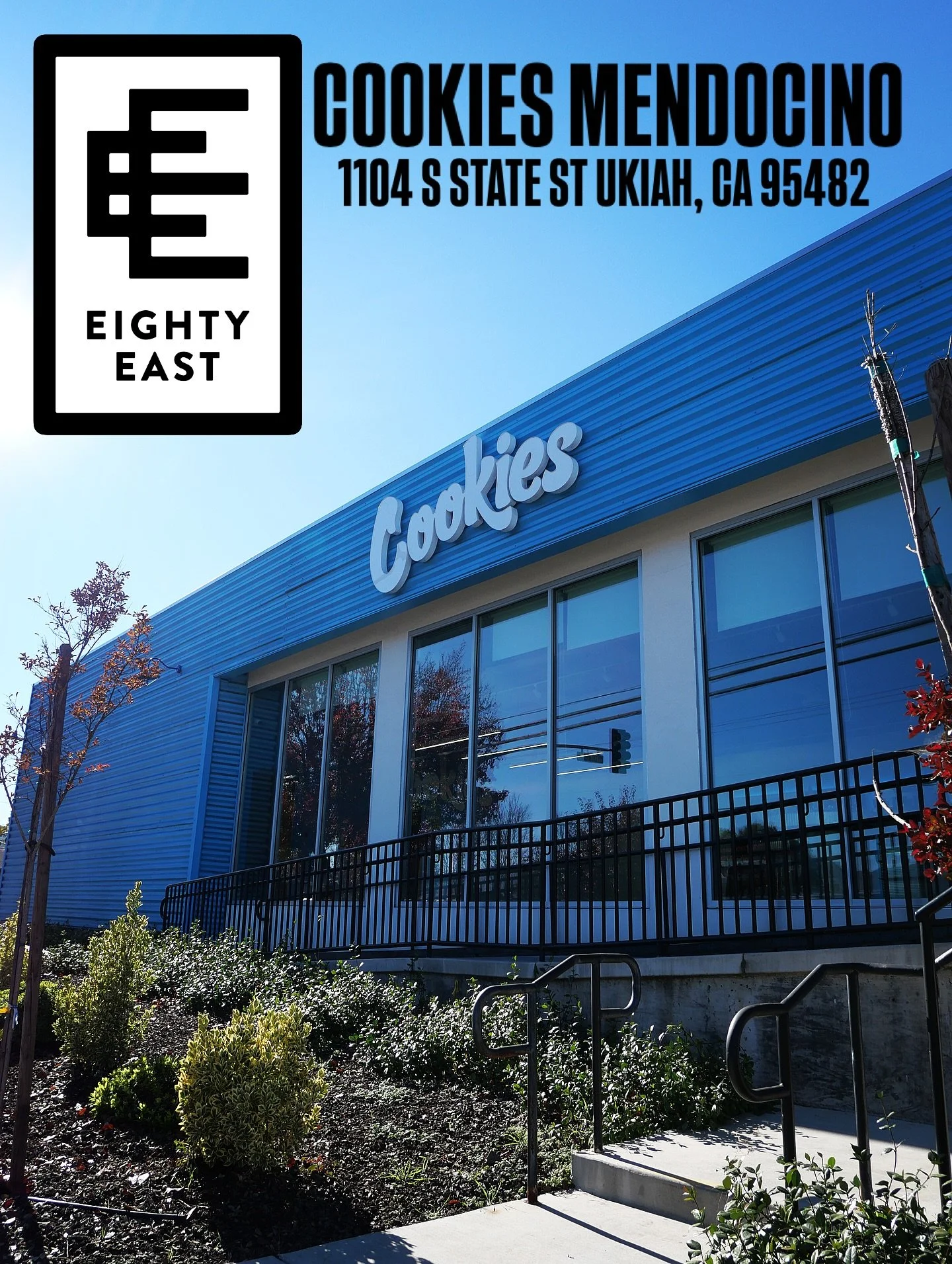 FIND US HERE ! COOKIES MENDOCINO X EIGHTY EAST