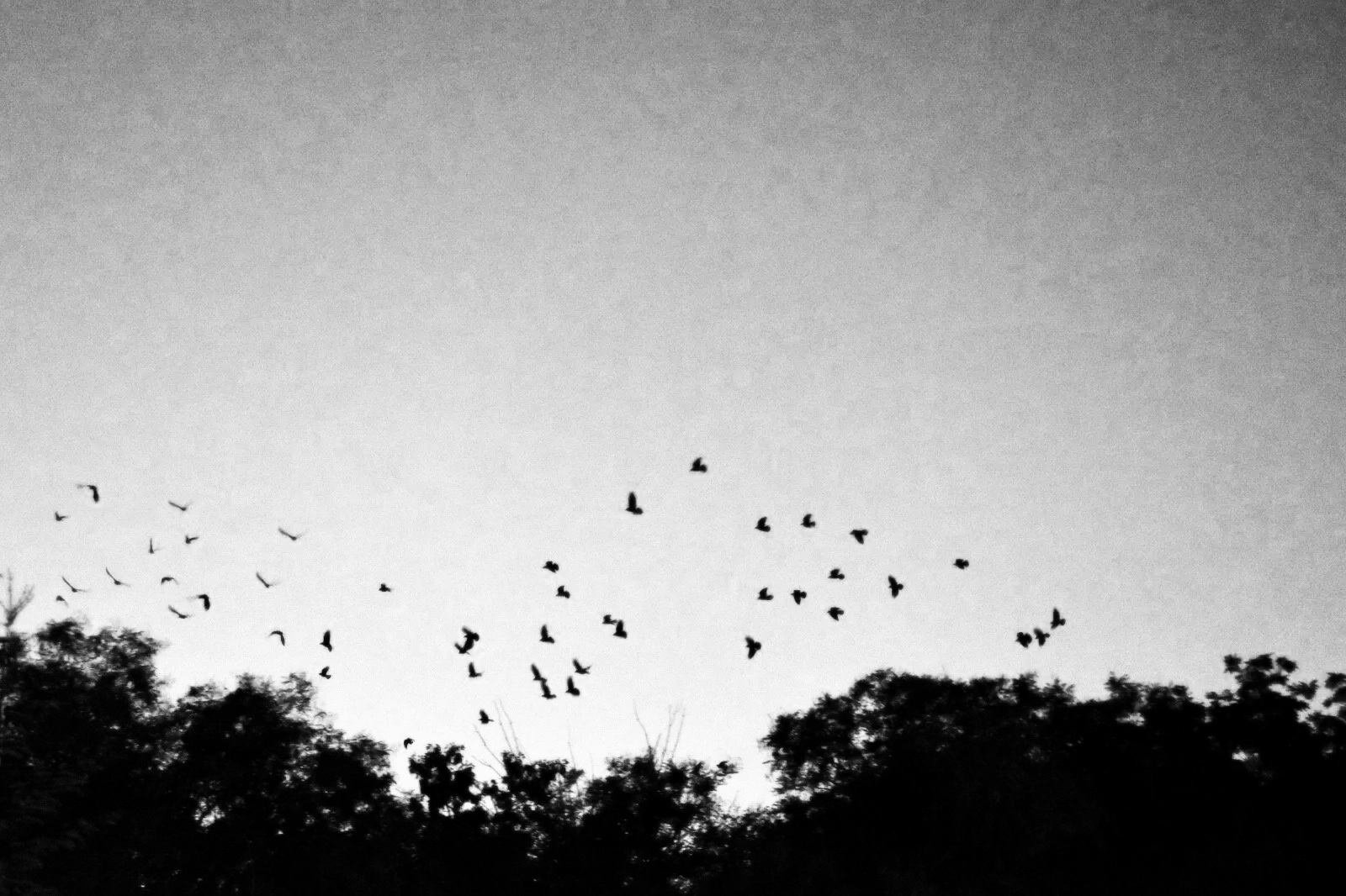 “Deneme” for Solo Flute